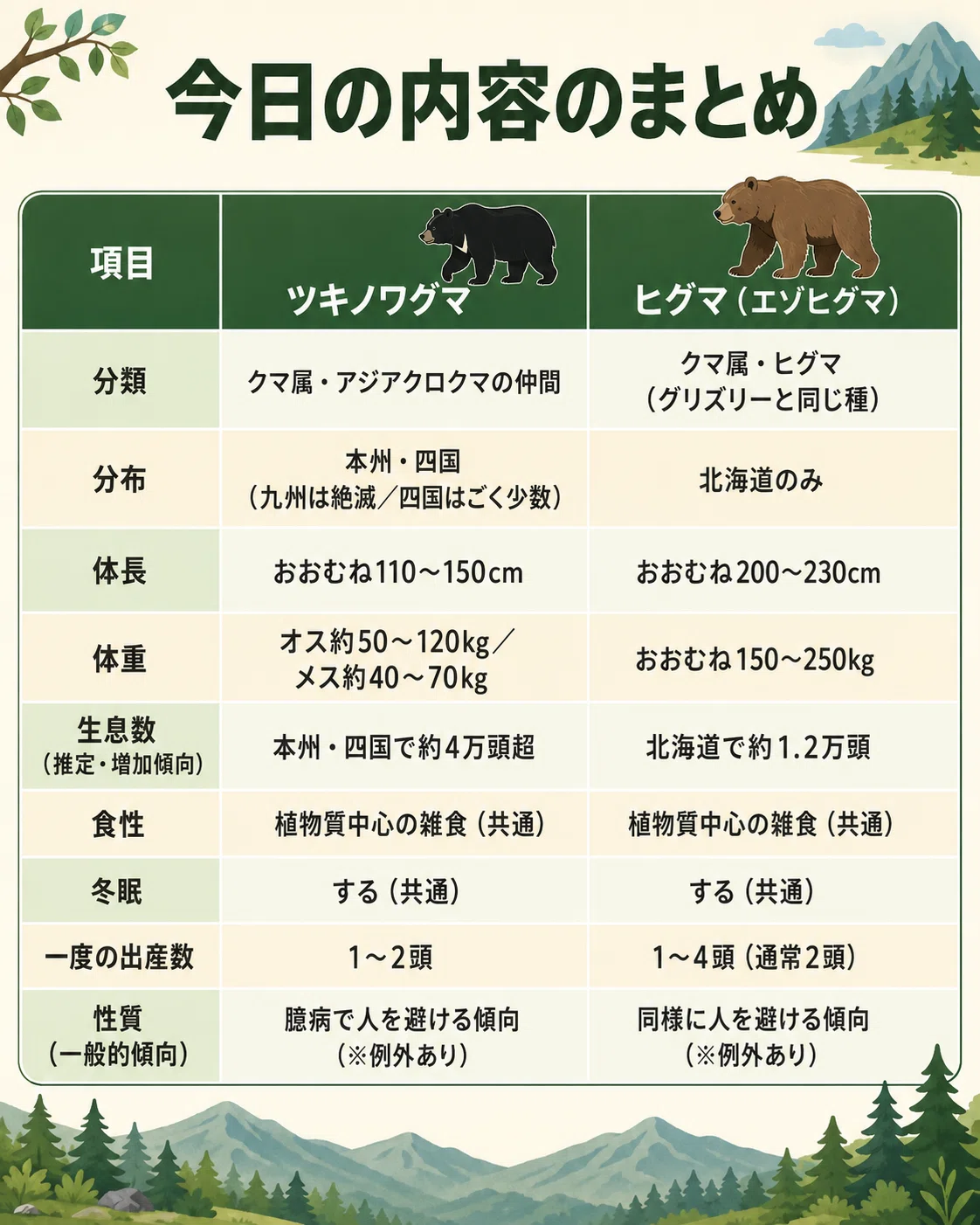 ツキノワグマとヒグマ、何がどう違う？──データで見る日本の“2大グマ