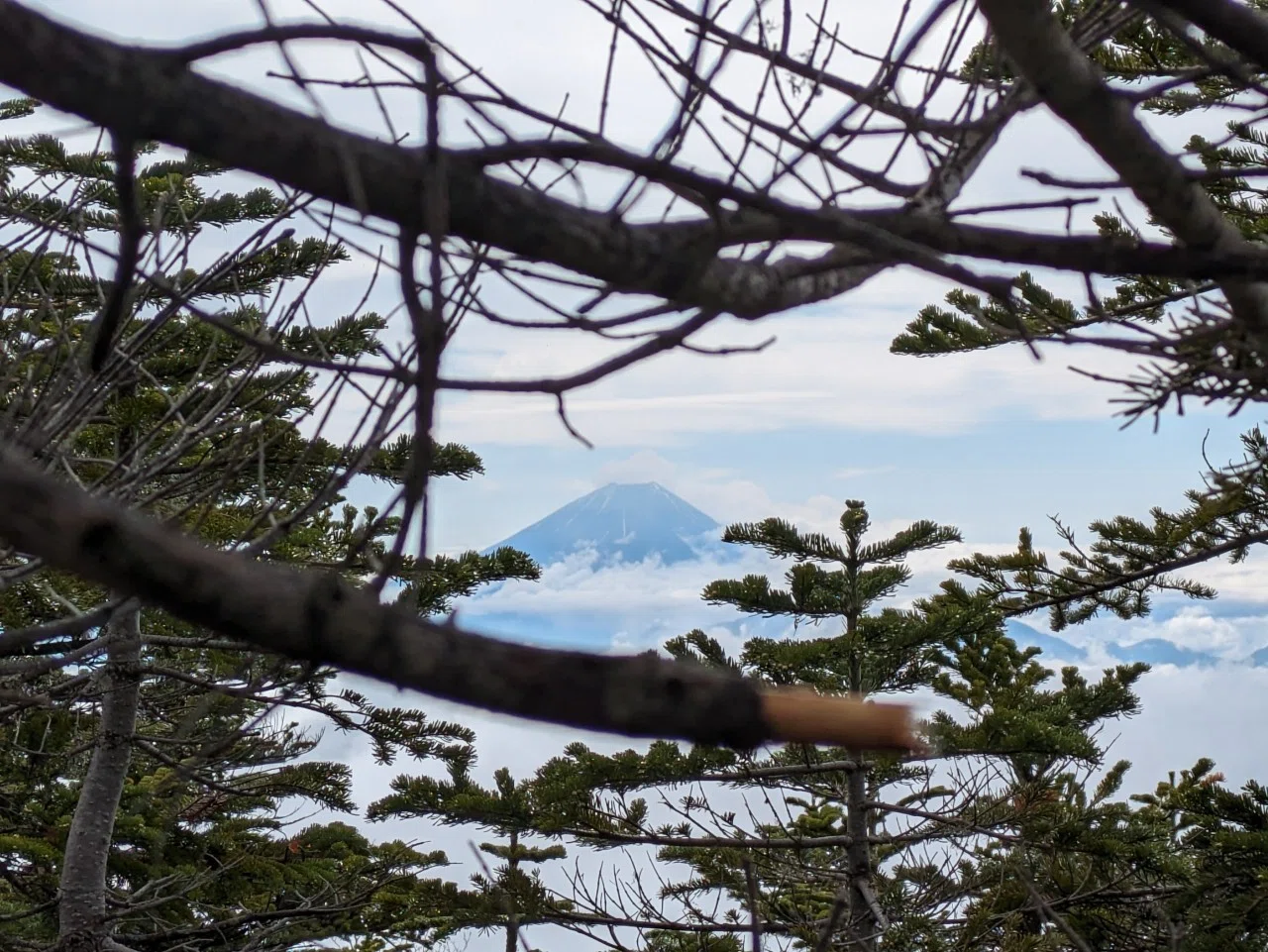 [Southern Alps] Sasayama/Shirakawachi-dake | 18.6km, a superb ridge ...