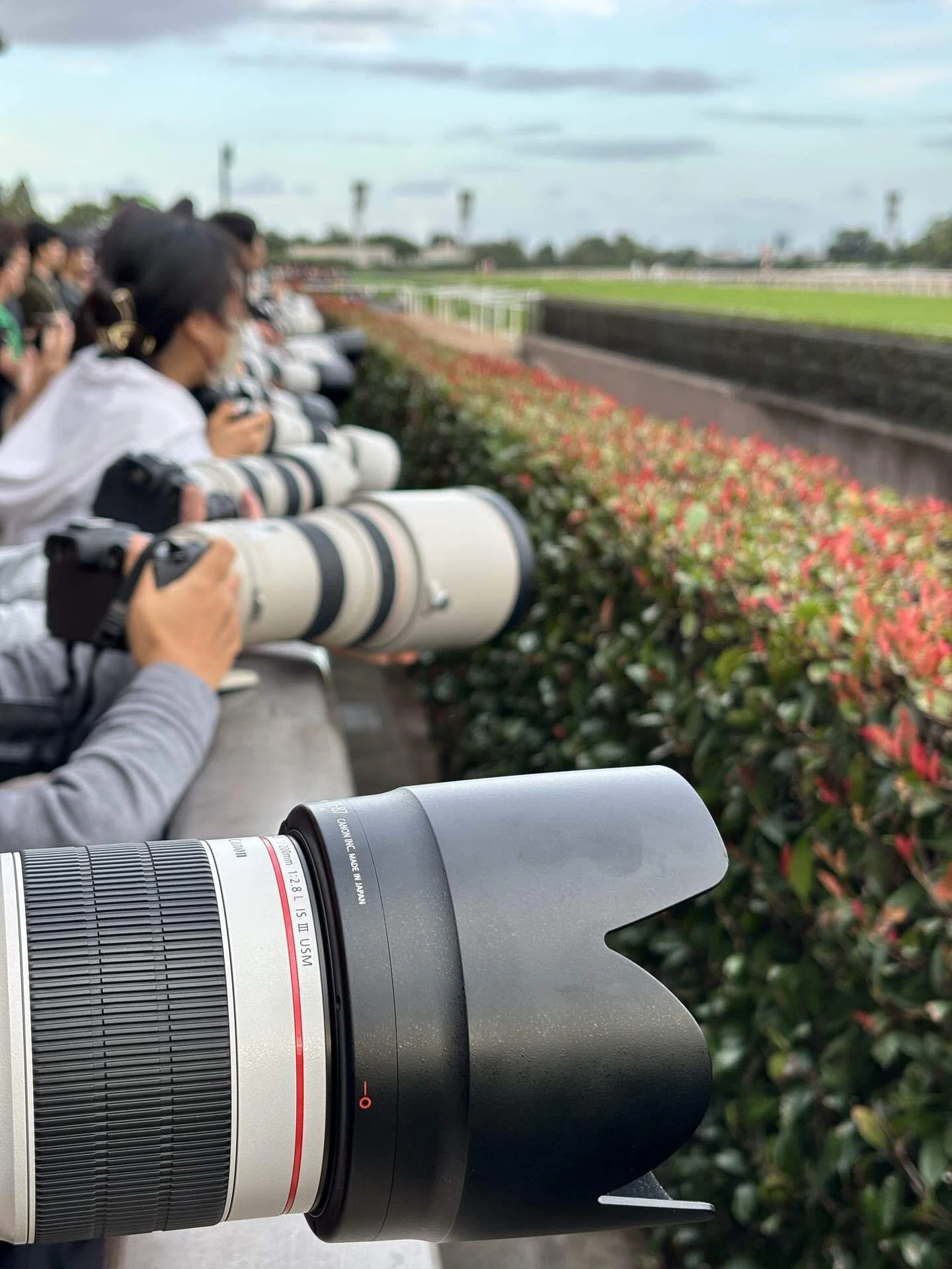 間違いばかりのカメラ選び】絶対に買ってはいけないレンズ！フリマ