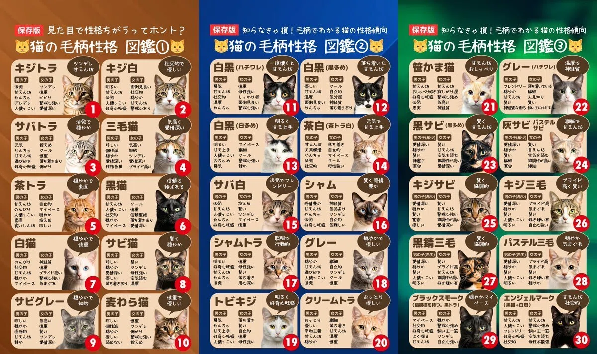 猫柄人気投票アーカイブ。でも「どの柄も誰かの特別」｜にゃんゼミ｜猫雑学