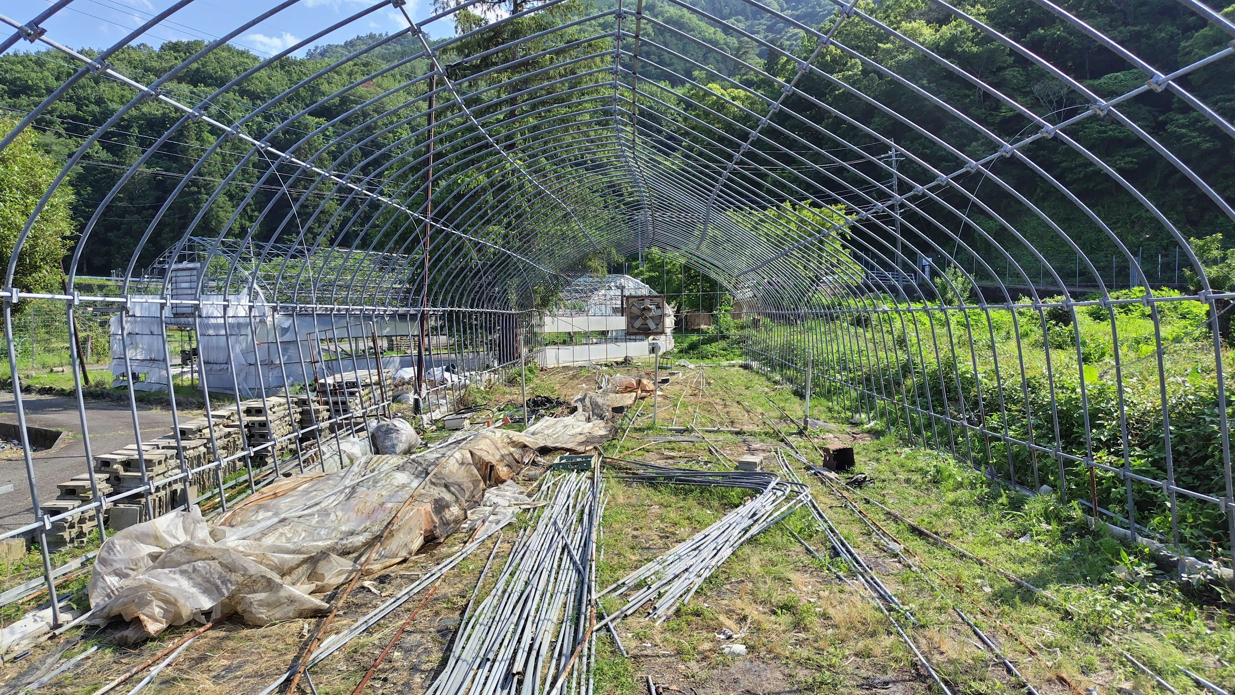 お気持ち程度』でいただけることになったビニールハウス、最後まで 