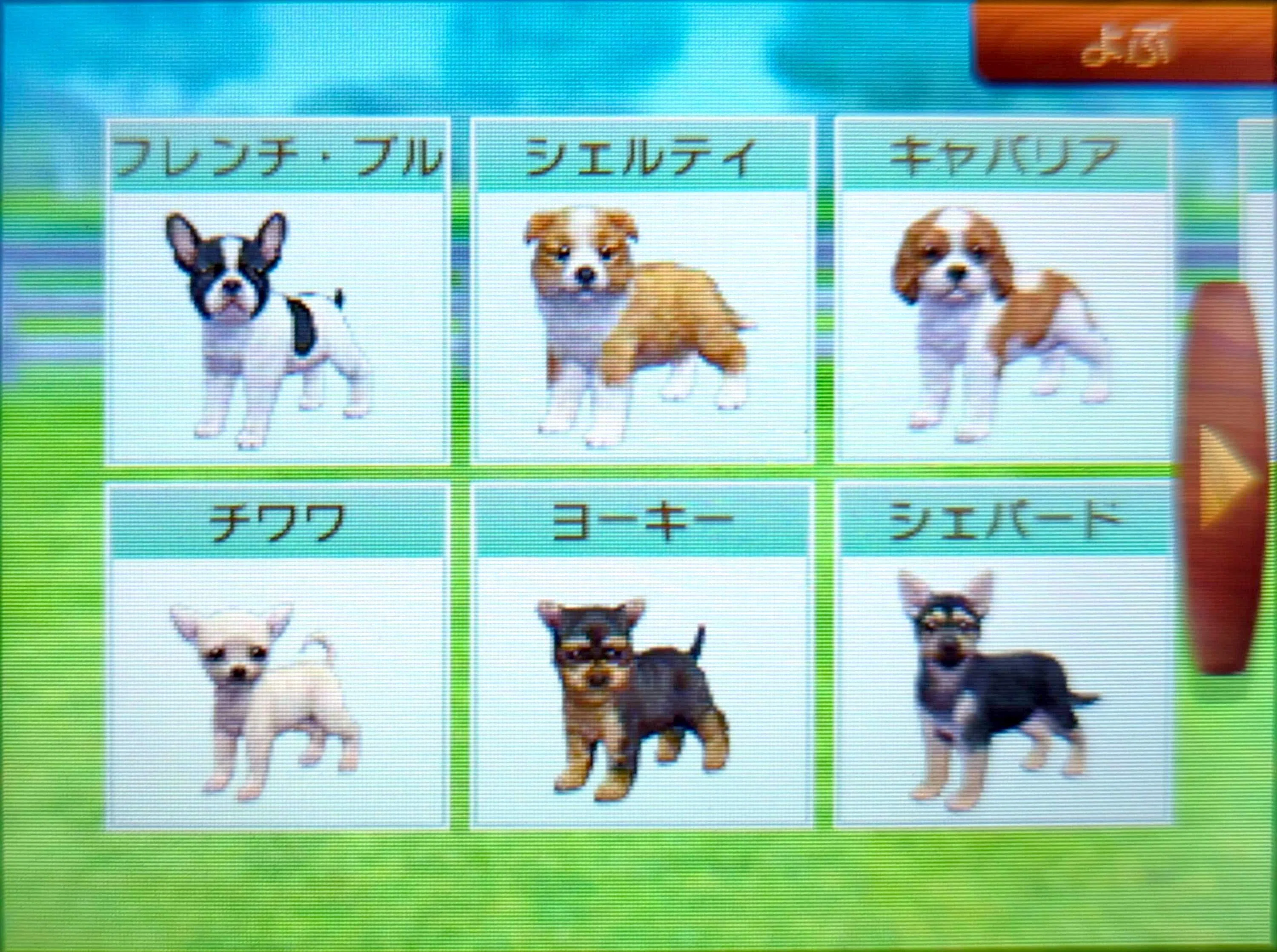 電子ーヌ飼い始めた｜Toto