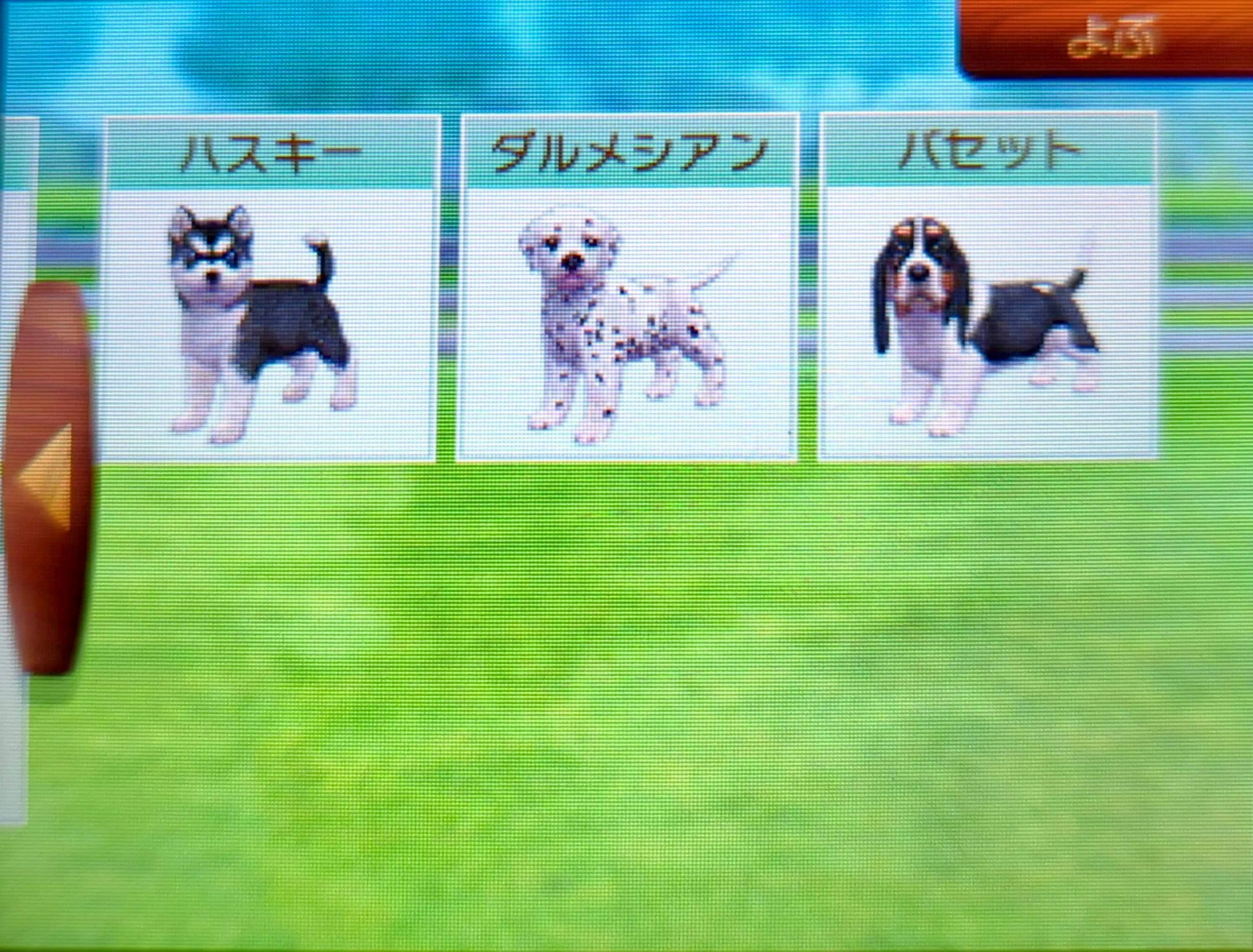 電子ーヌ飼い始めた｜Toto
