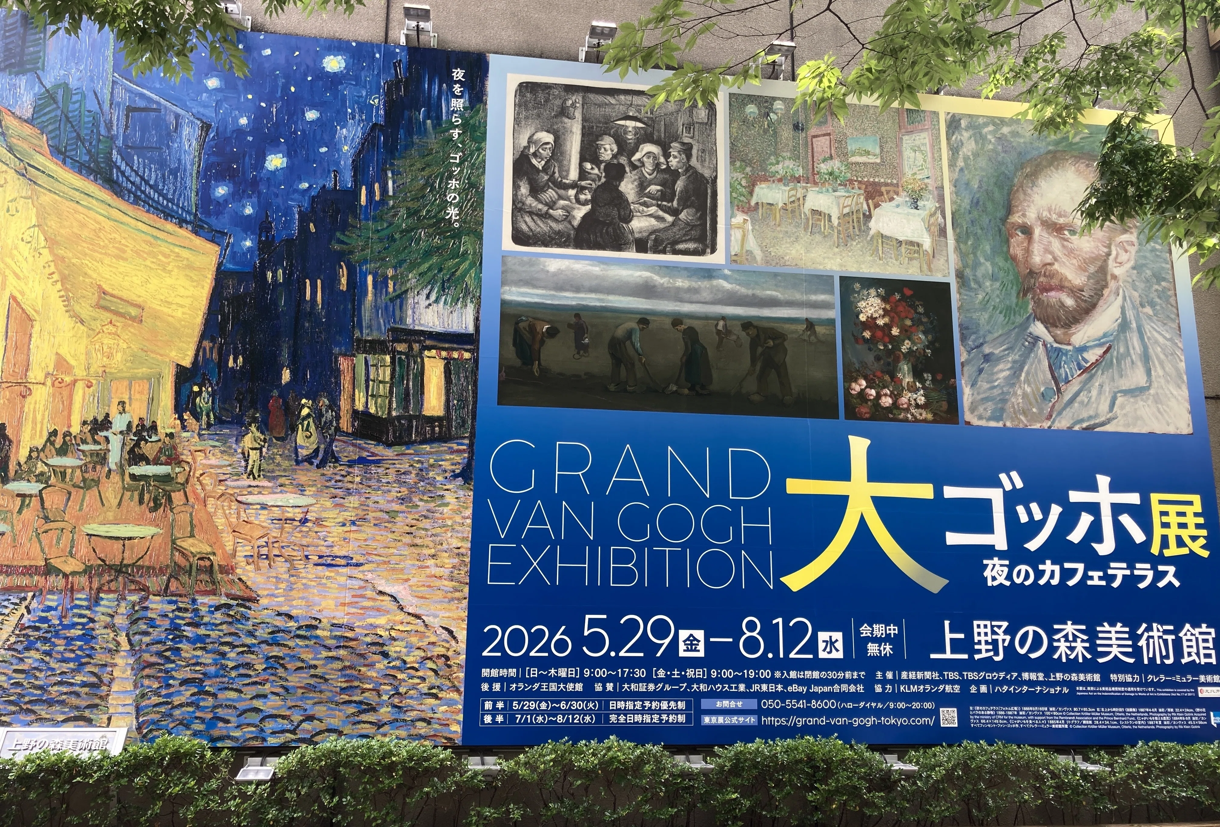 油絵 絵画 森の美術館 絵とは思えない何か｜大ゴッホ展【上野の森美術館 鑑賞レポート】｜Art