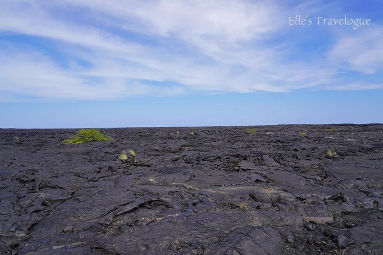 ワイコロアの縄状溶岩からケアウホウ～Holoholo Island ToursのKenさん