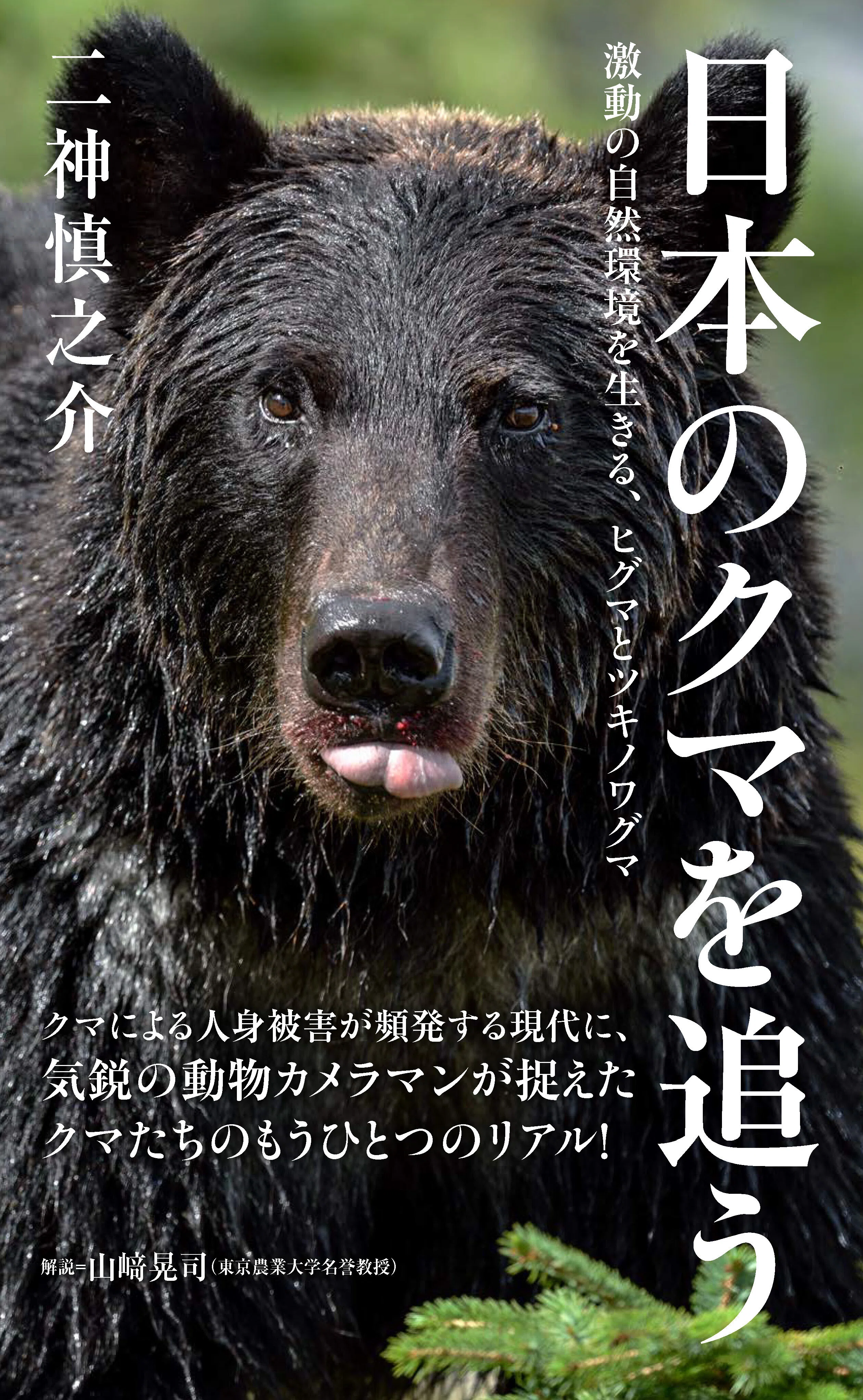 新刊のご案内【2026年7月発売】『鳥たちはなぜ都会を選んだのか』など6