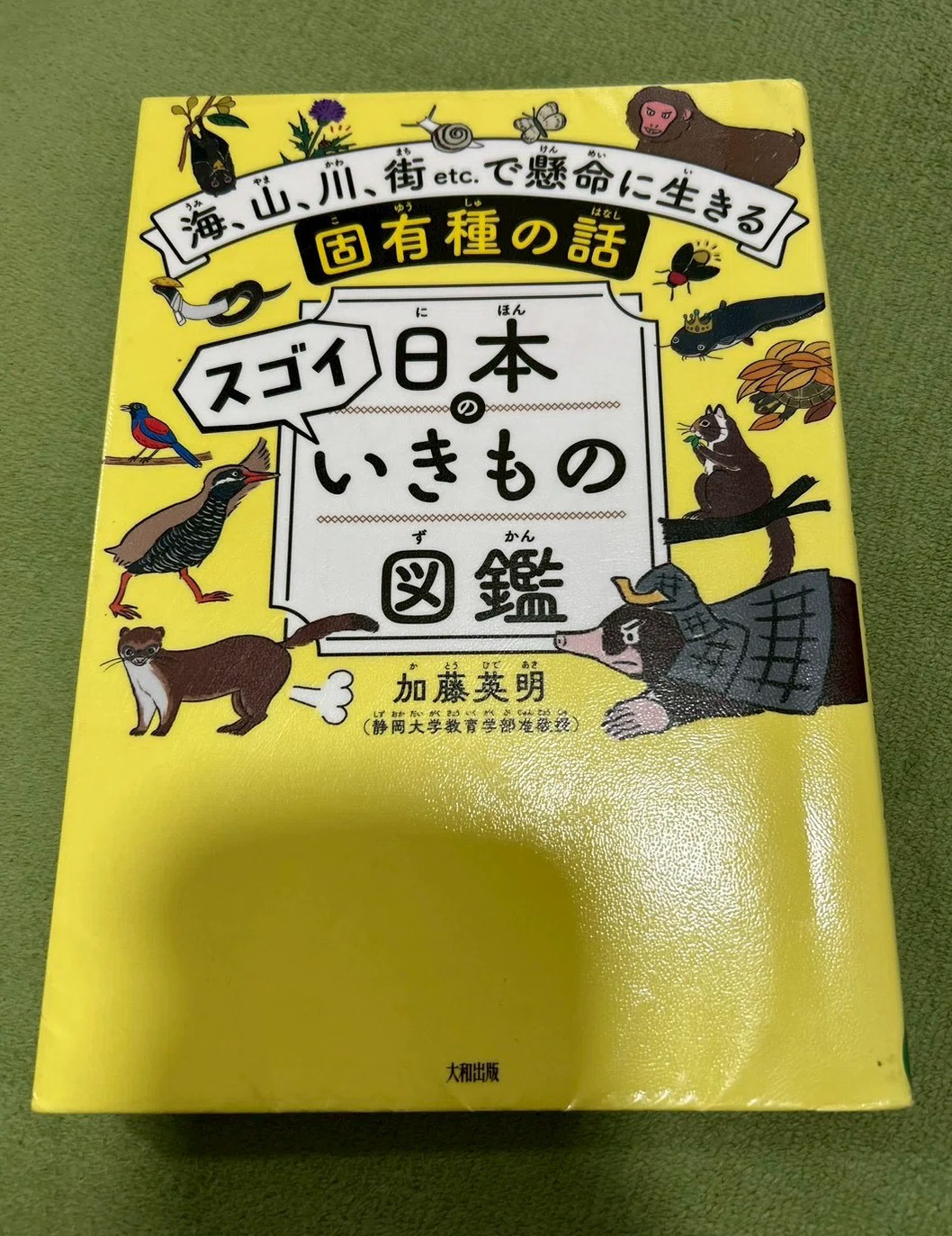 📕生き物、動物についての本3冊！｜海野おさる