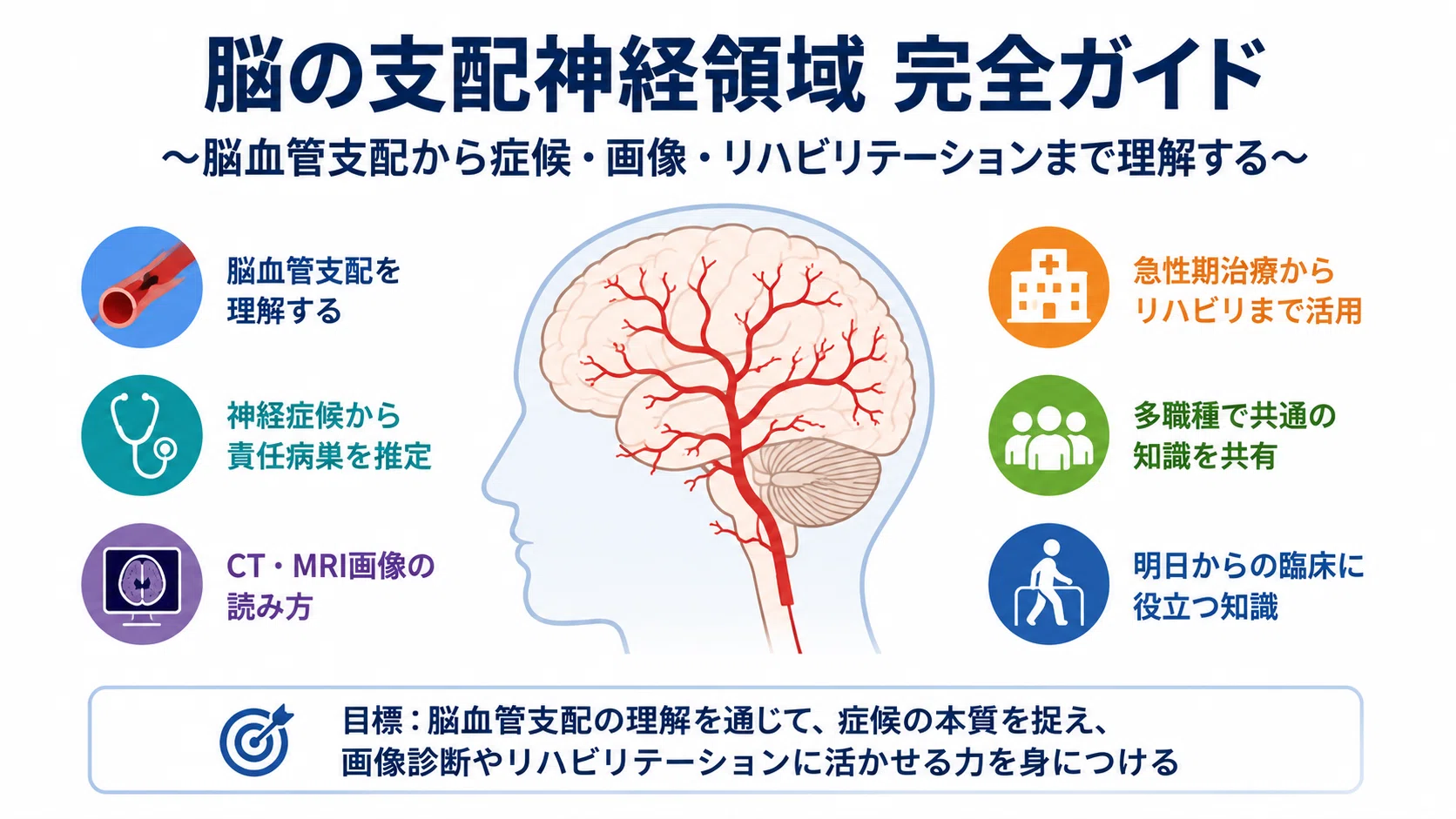 脳の支配神経領域 完全ガイド～脳血管支配・神経症候・画像評価