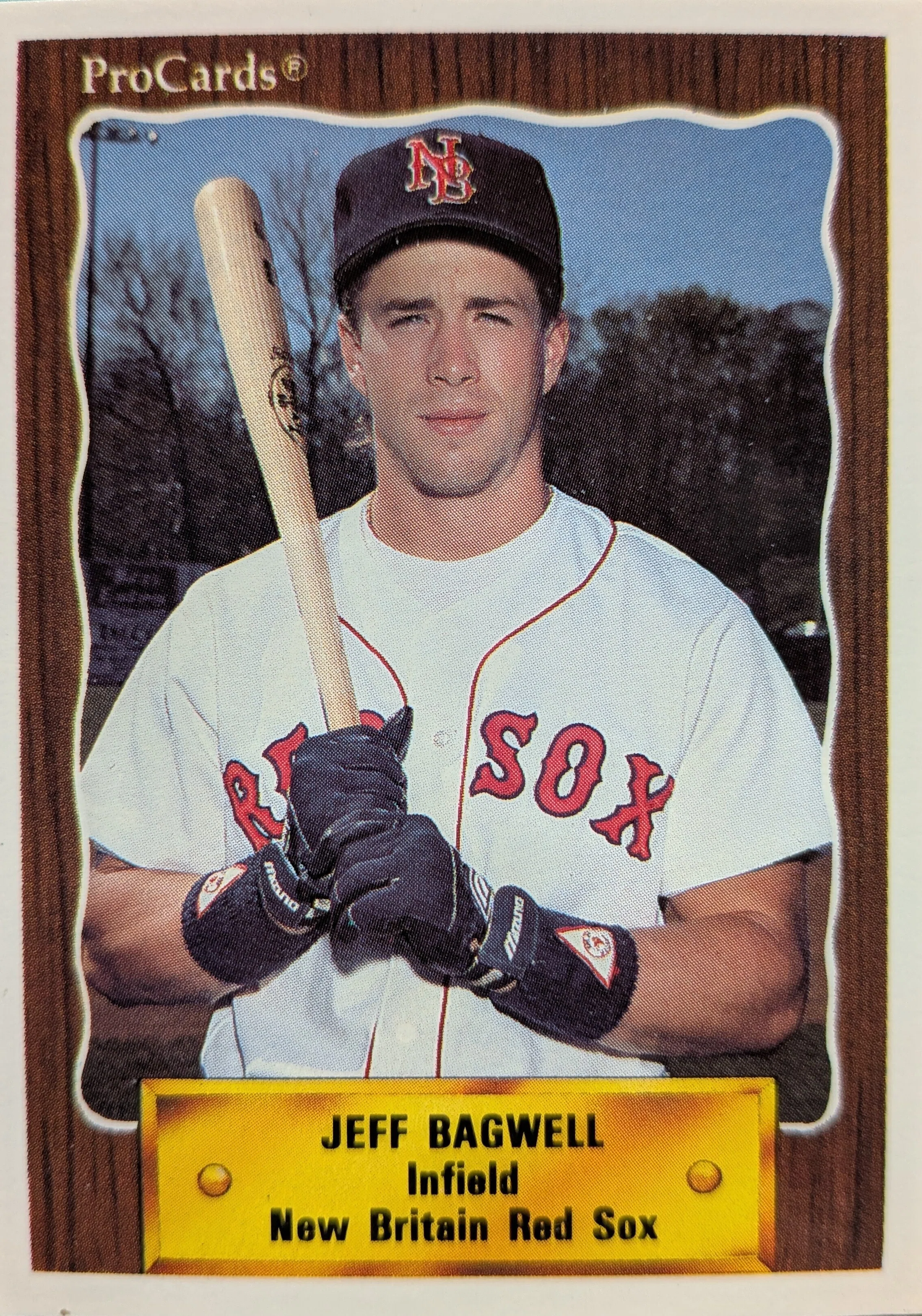 コレクション】Jeff Bagwell(1990 ProCards #739)｜naoto