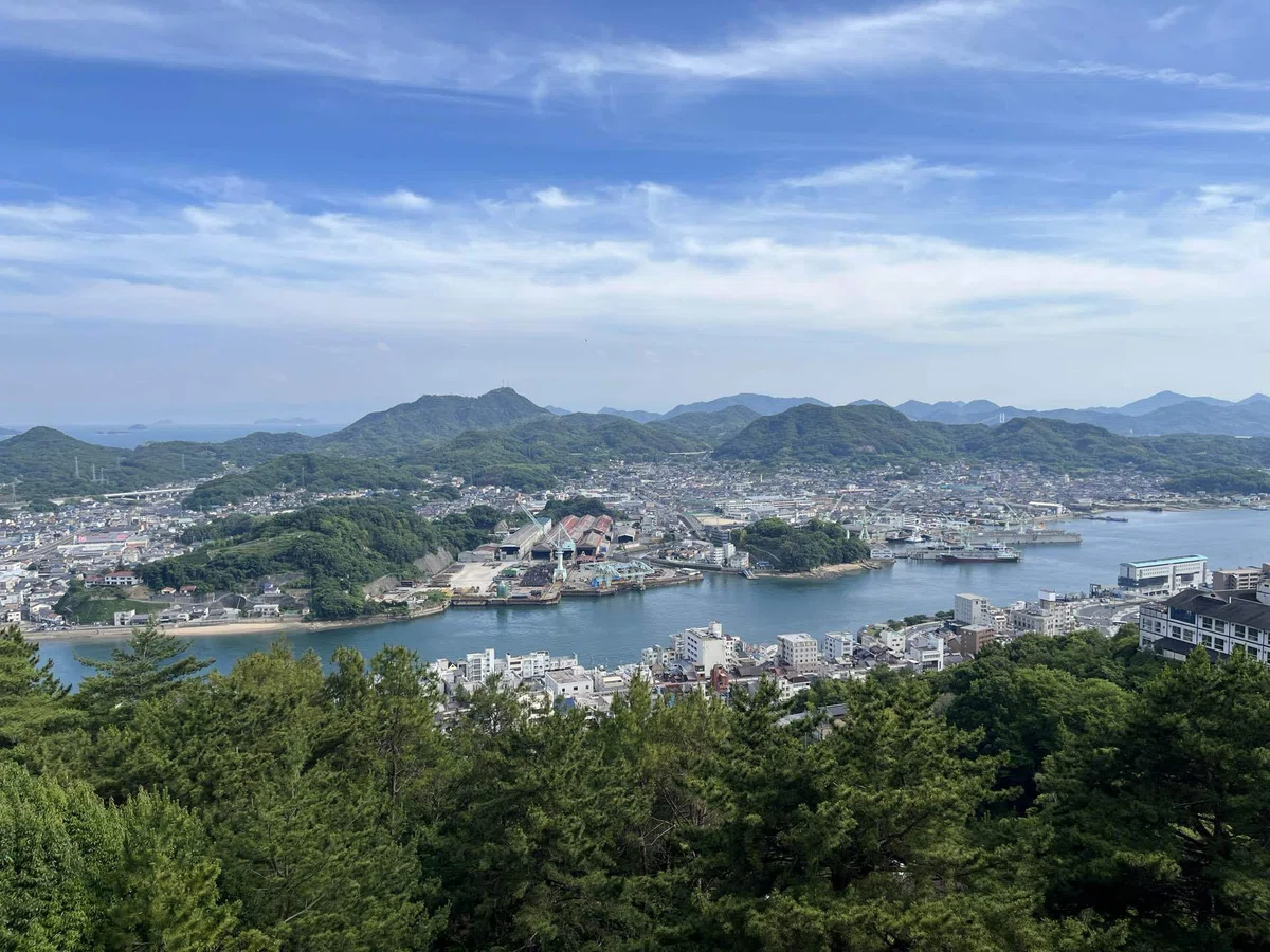 画像