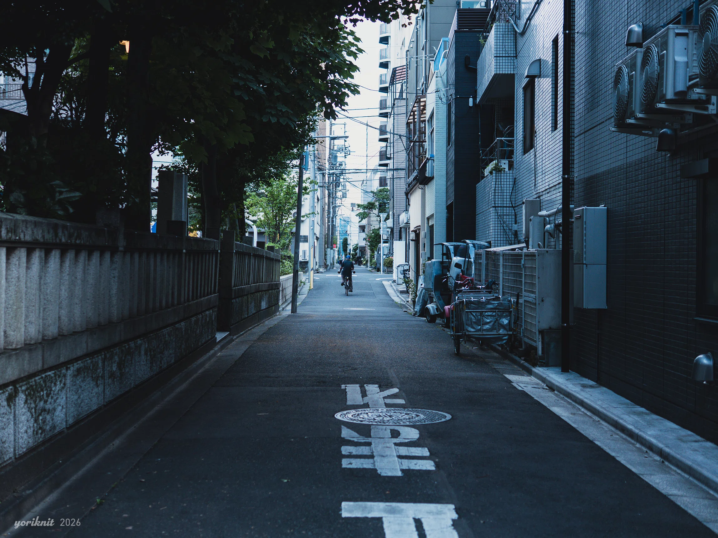 LEICA DG SUMMILUX 25mm F1.4 で撮る。 ｜ LUMIX G100D｜yoriknit