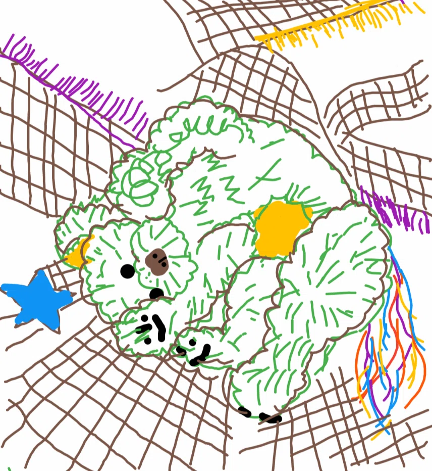 画像