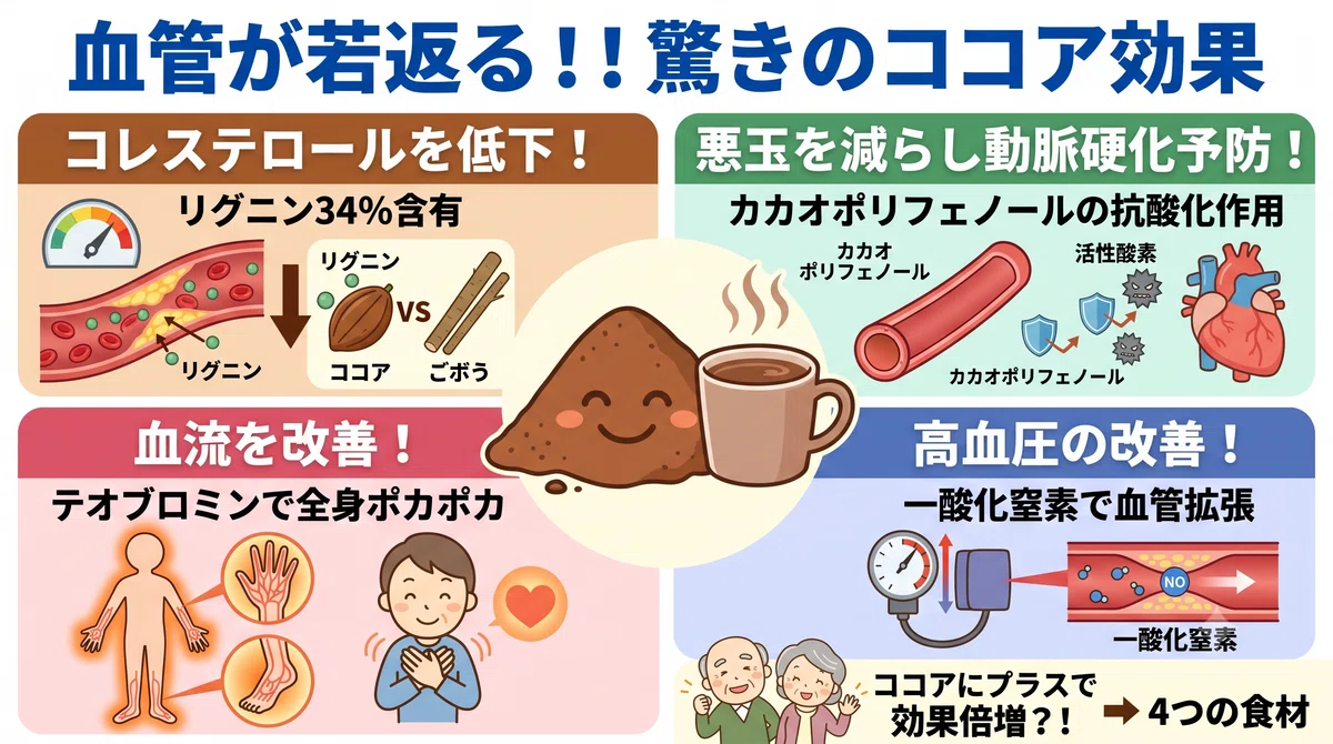 血管が若返る!!驚きのココア効果