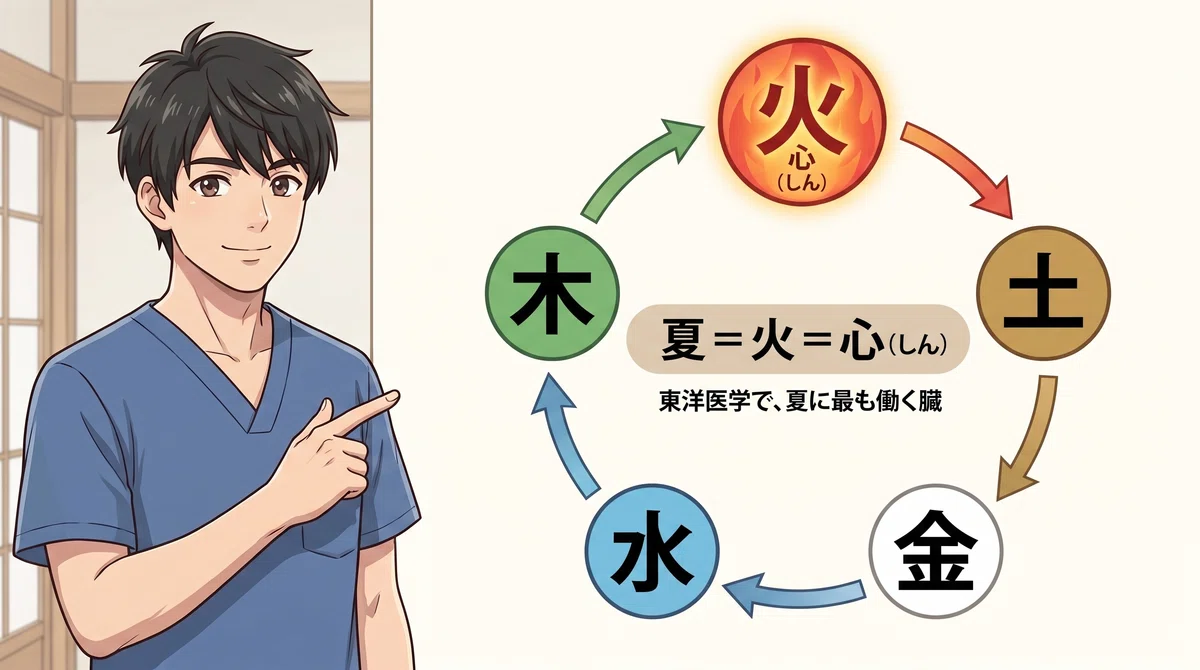 木・火・土・金・水の五行図。夏は火、臓は心にあたることを示す図