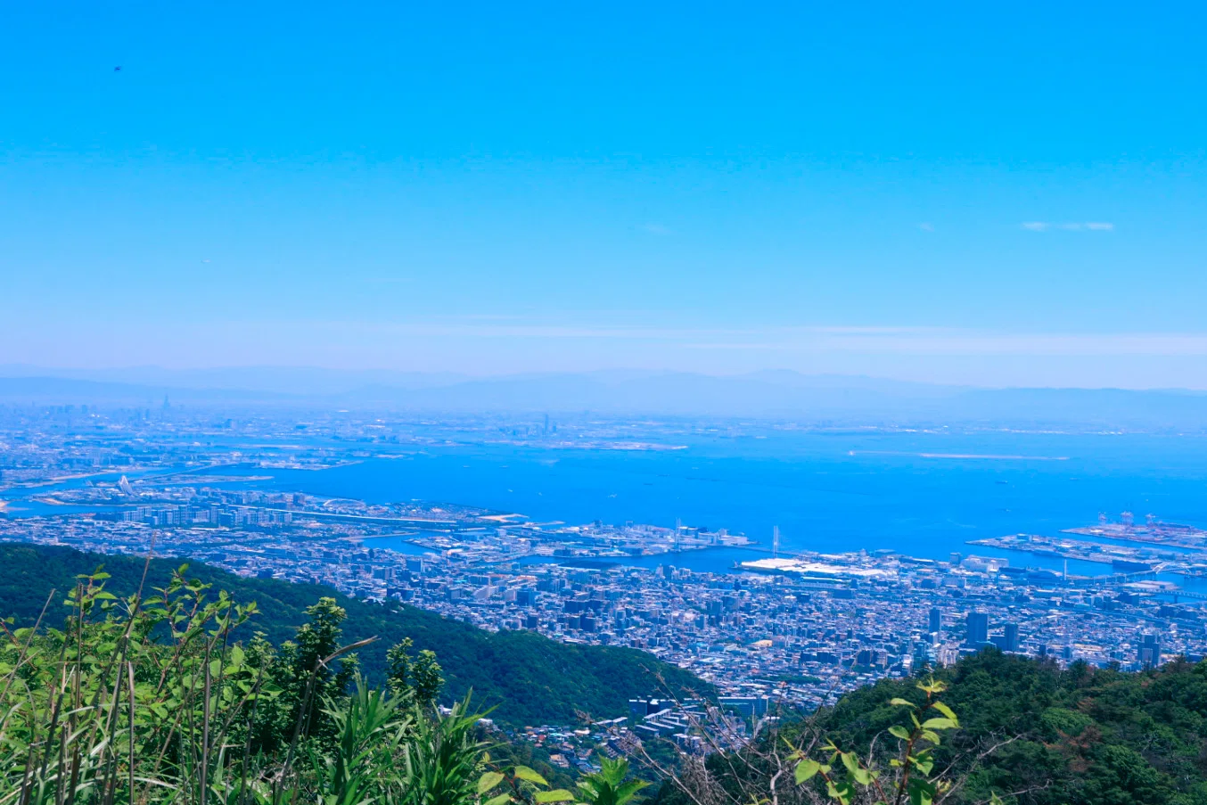 初夏の六甲山 | 神戸の絶景と「きみょい植物展」を楽しむ【旅と写真