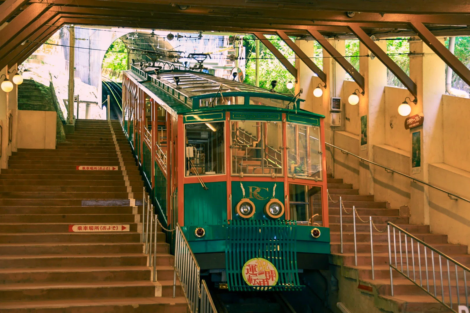 初夏の六甲山 | 神戸の絶景と「きみょい植物展」を楽しむ【旅と写真