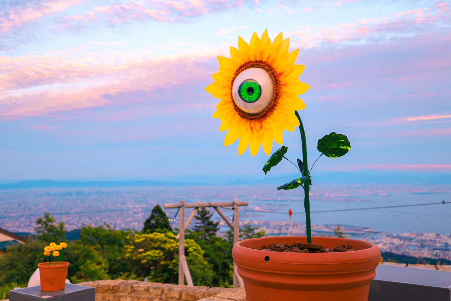 初夏の六甲山 | 神戸の絶景と「きみょい植物展」を楽しむ【旅と写真