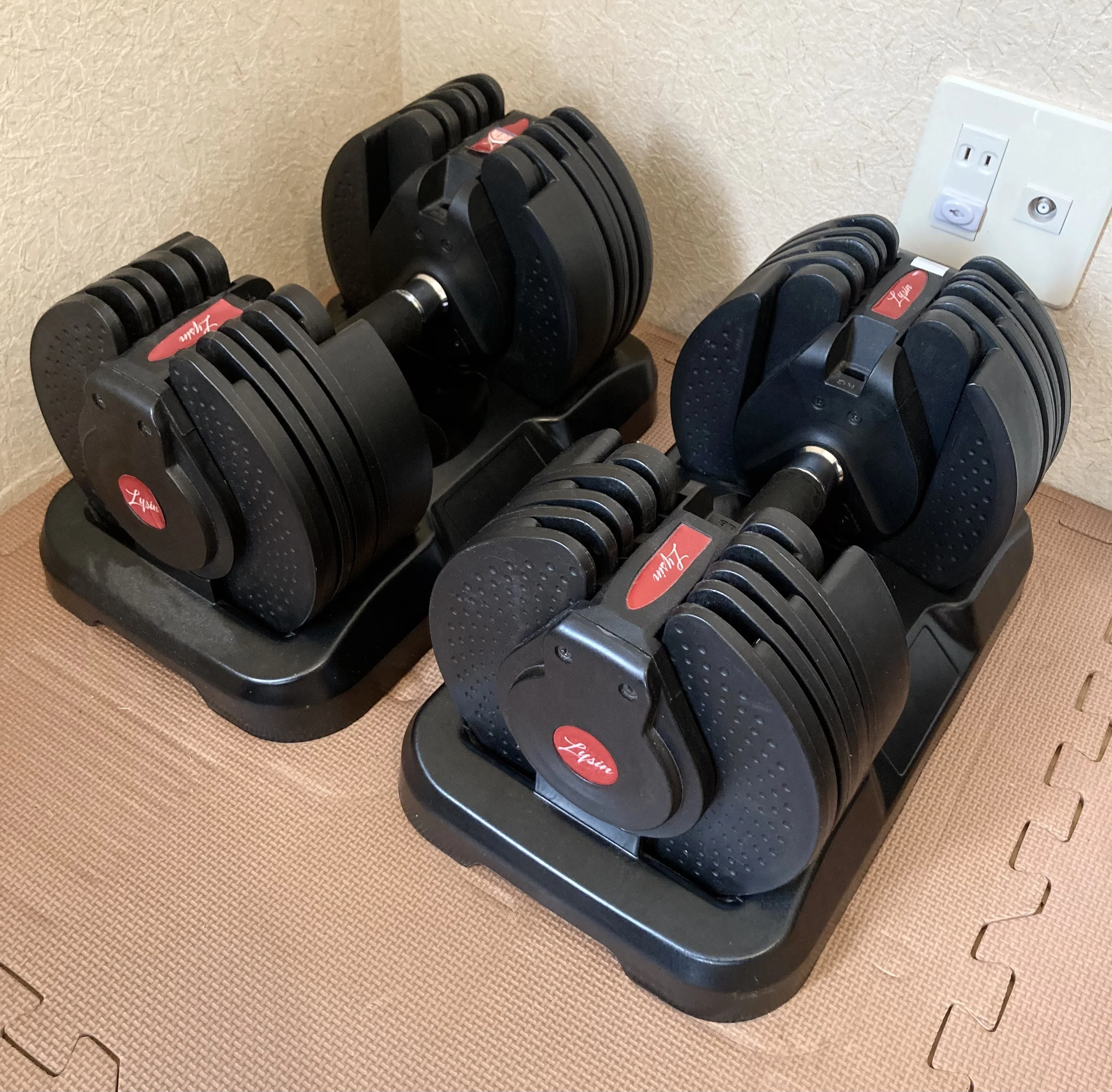 ライシン「ヘリックスミラー 40kg」はおすすめ？家トレ歴8年の視点で