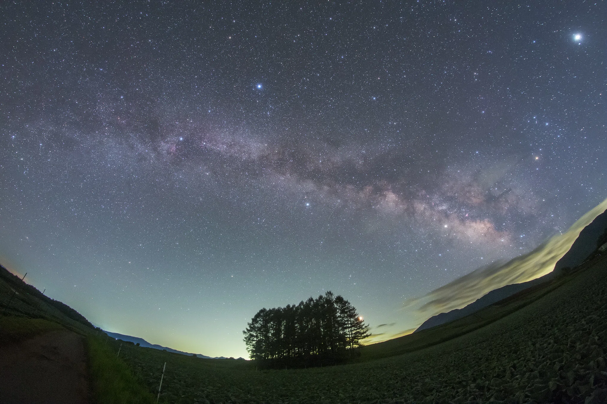 星景写真・一枚の記憶「まるで北海道！ 嬬恋高原 カラマツの丘と天の川