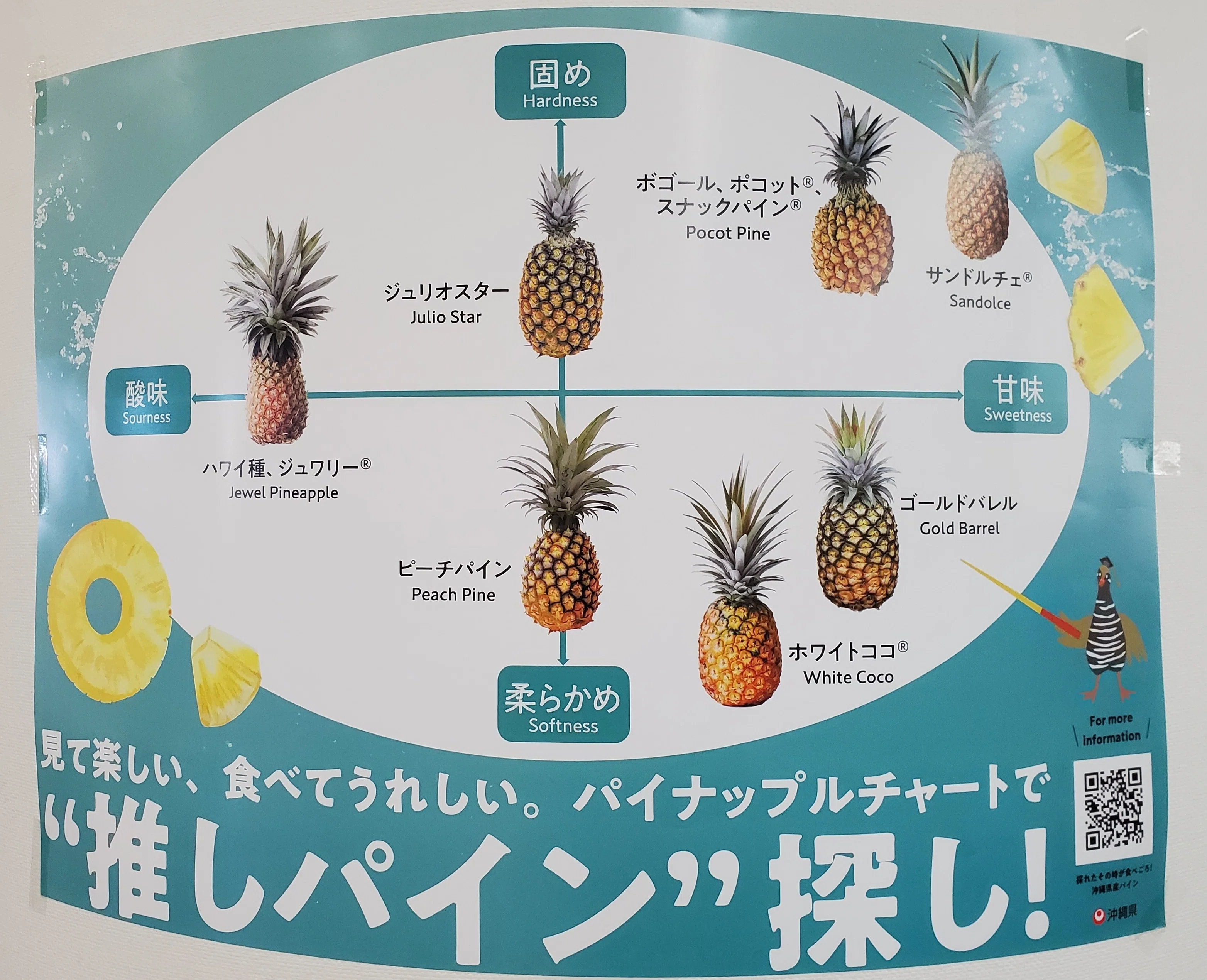 スーパーでは絶対に教えてくれないパイナップルの品種」｜若海 秀隆