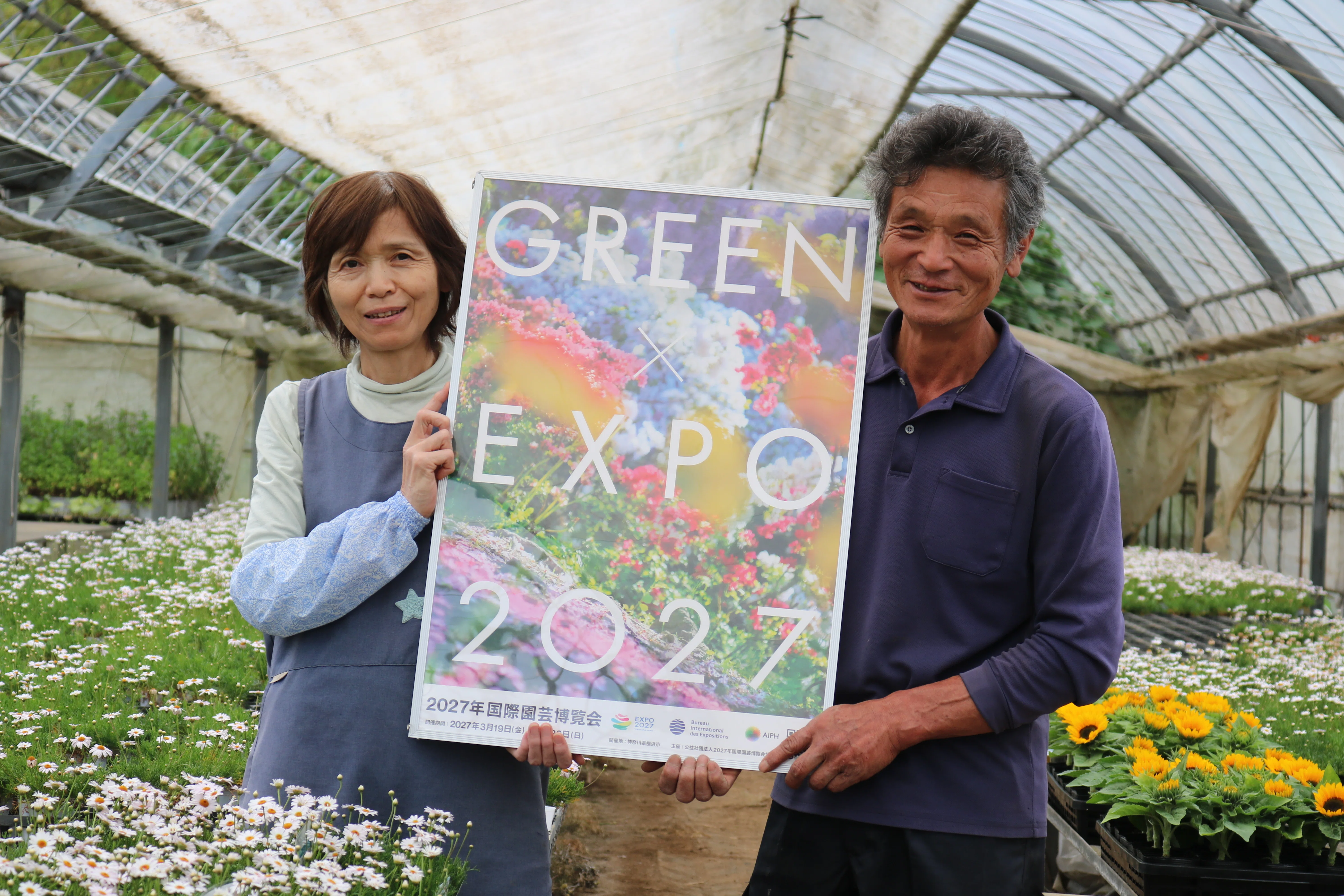 花き農家取材】「ニューサマーデージー“ステラ”」を生産する箱根洋ラン