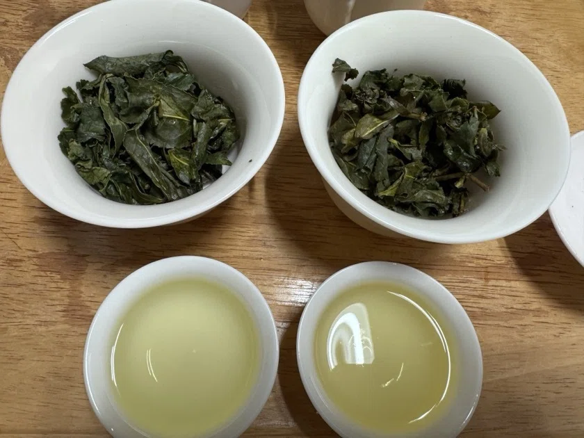大禹嶺茶　2022年？ 台湾茶（大禹嶺x2）を飲みくらべ2026年6月購入｜横山武志／建築家