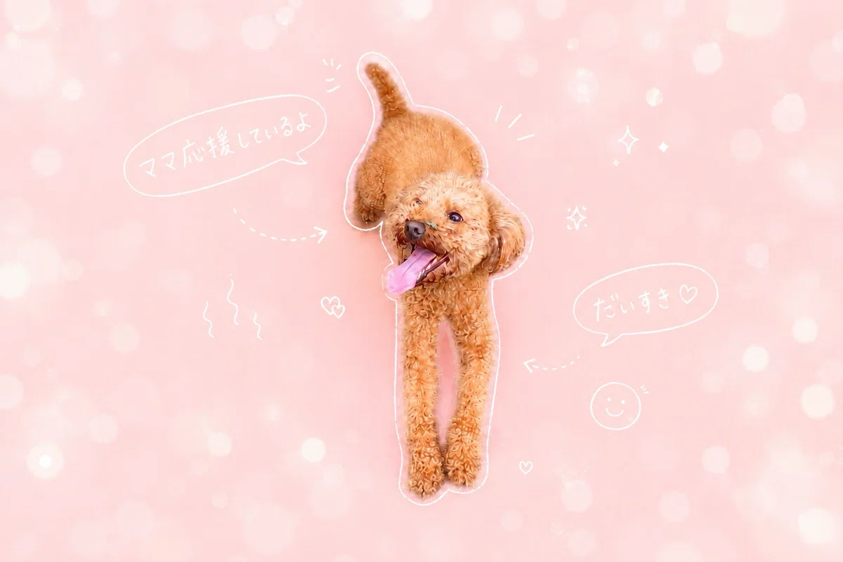画像