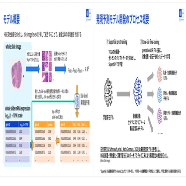 2026年度 人工知能学会全国大会(第40回)に出展しました｜中外製薬公式note