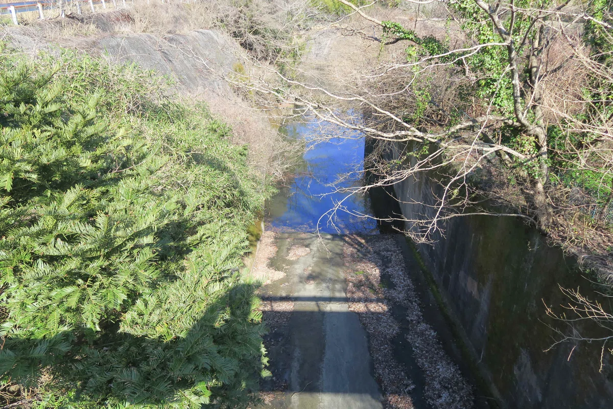 千葉県 荒木根ダム 洪水吐減勢池
