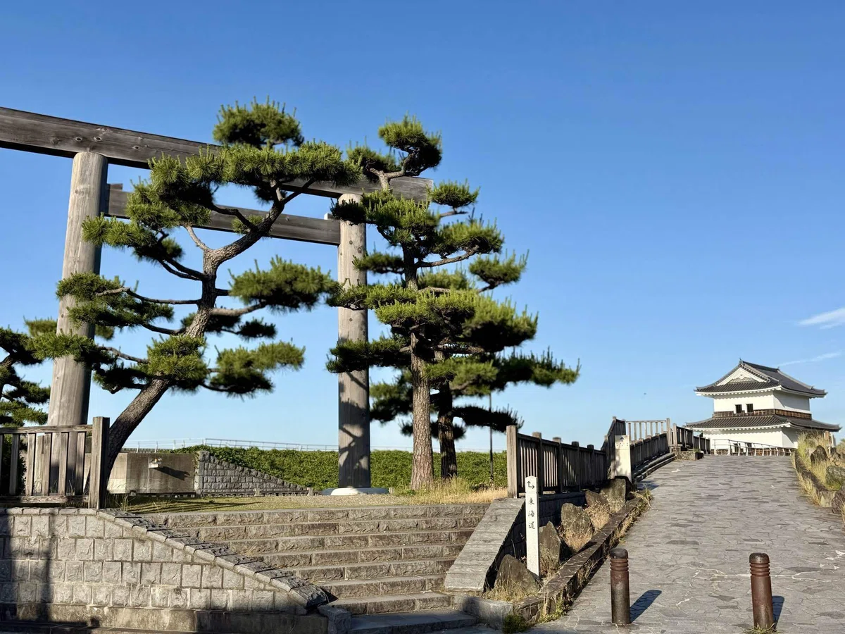 画像