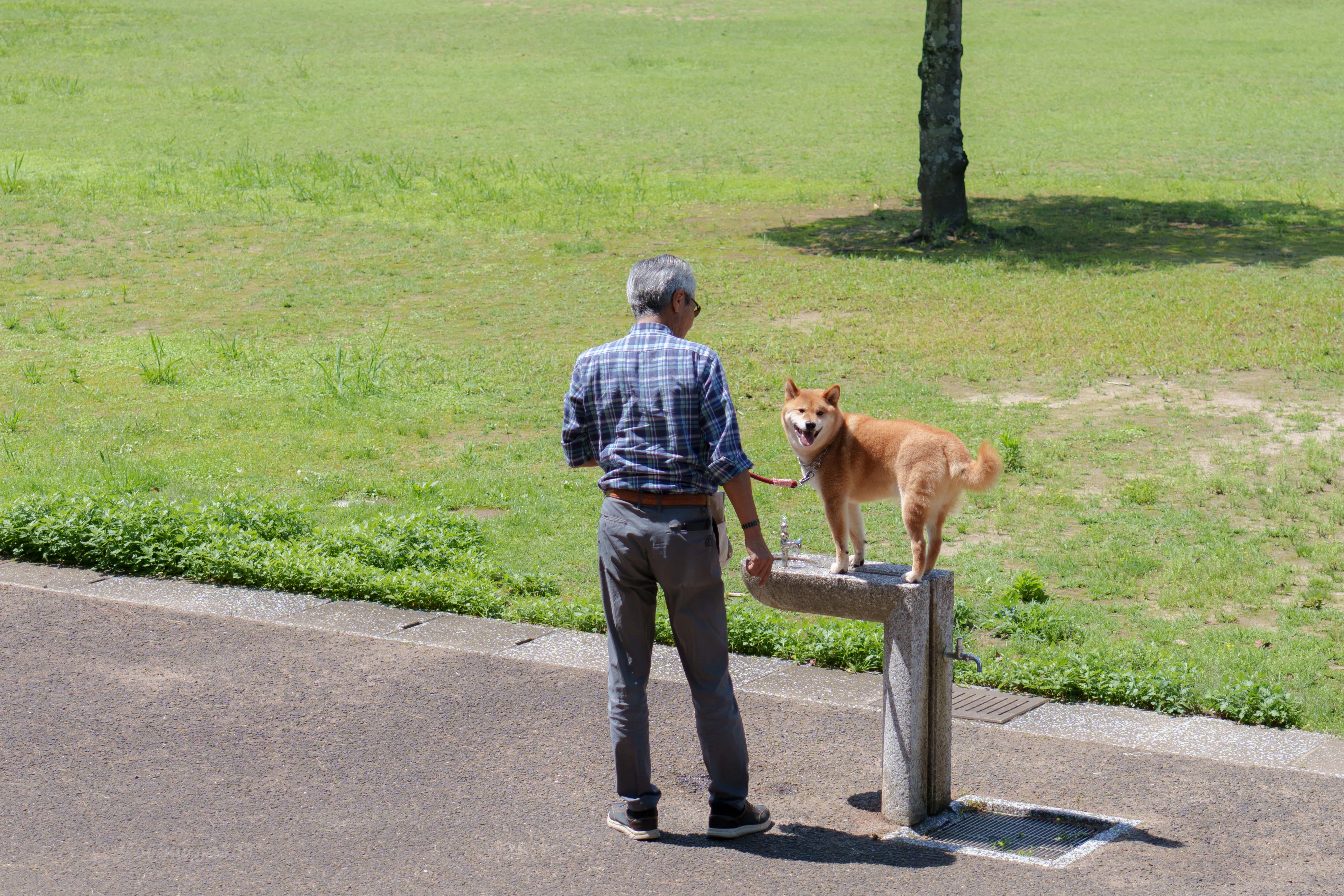 撮りたいものがなくても、カメラは持っていく｜ほびマガ