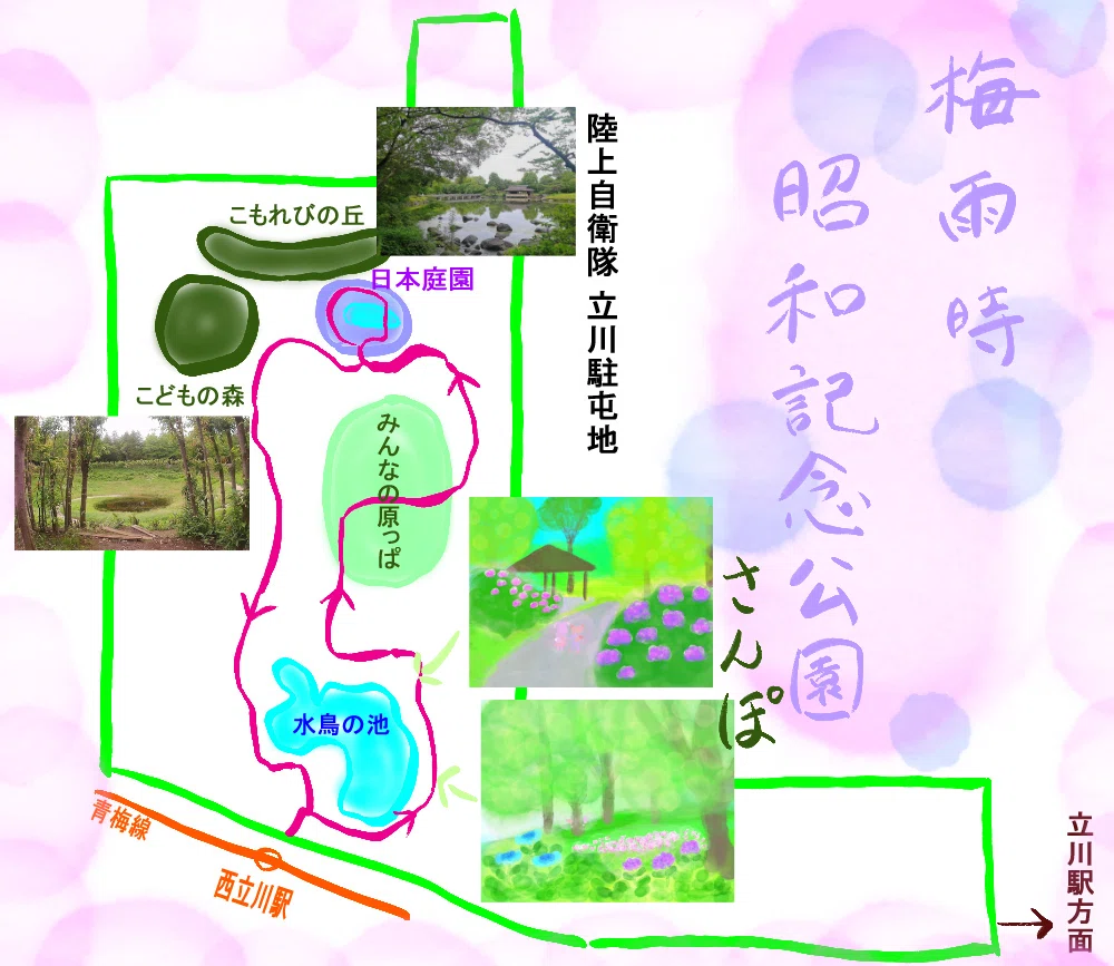 手のひら散歩 庭園編 お散歩日誌】2年ぶりの昭和記念公園🌳梅雨空の下、じんわり記憶が蘇る