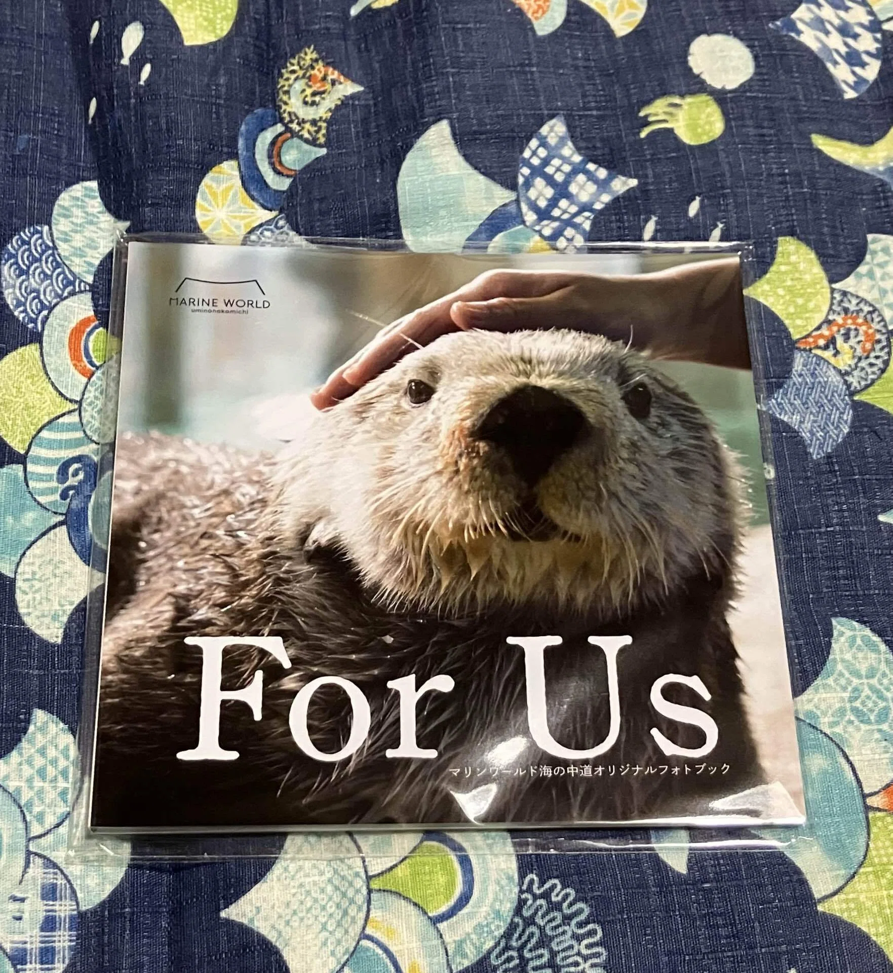 オリジナルフォトブック For Us』読了｜Olivine