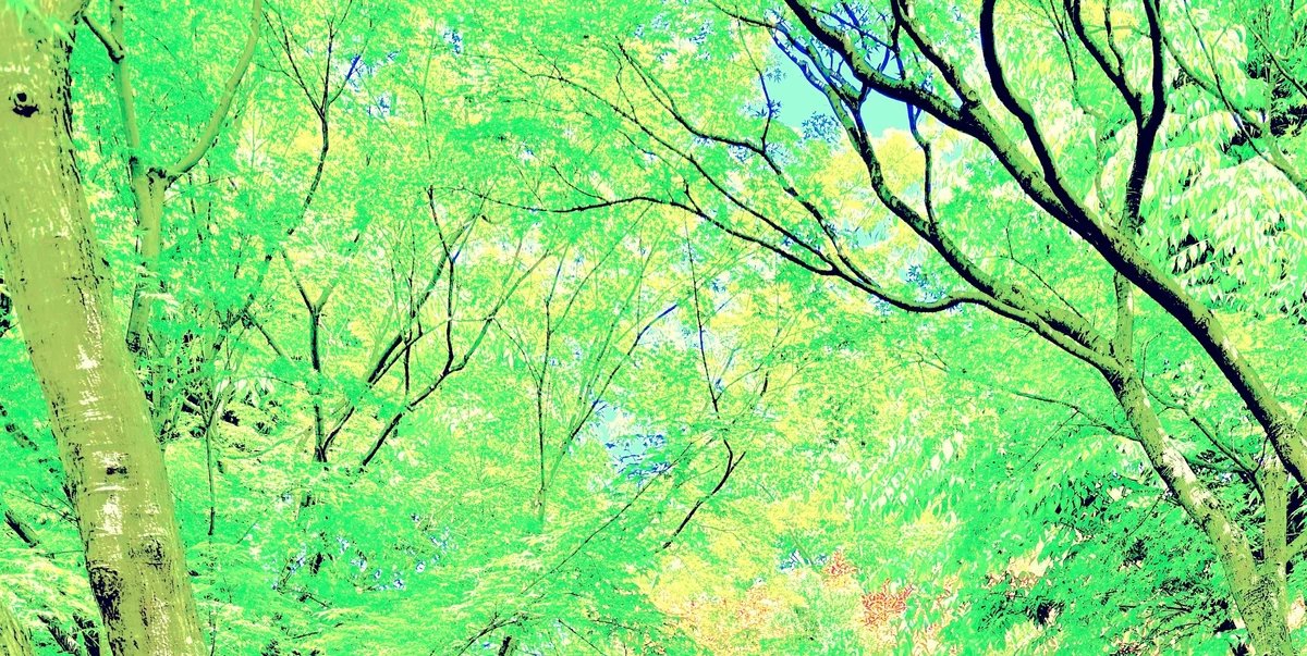 画像
