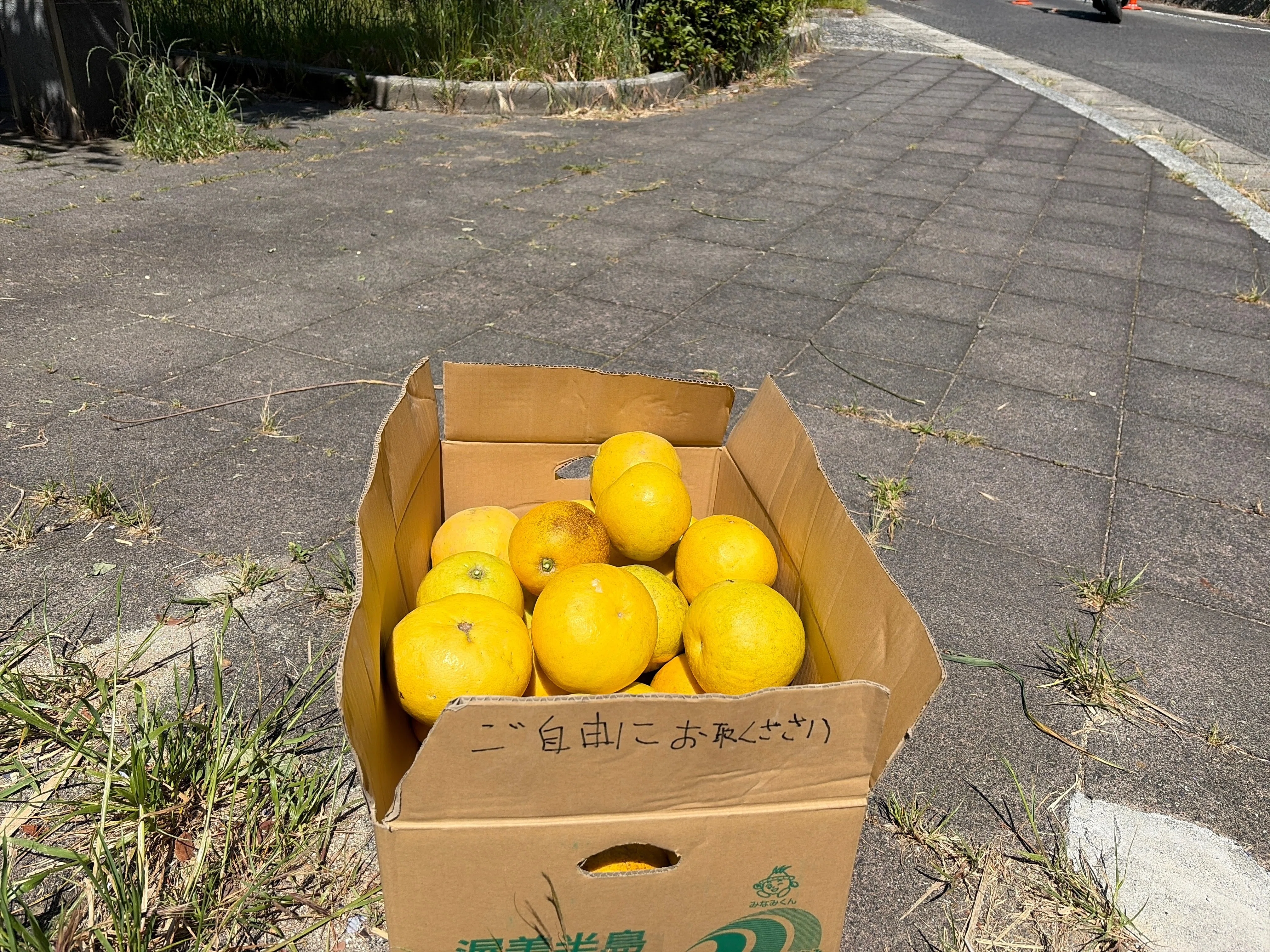 Old Man's Charge! Shimanami Kaido Cycling Expedition (Part 2)｜ま