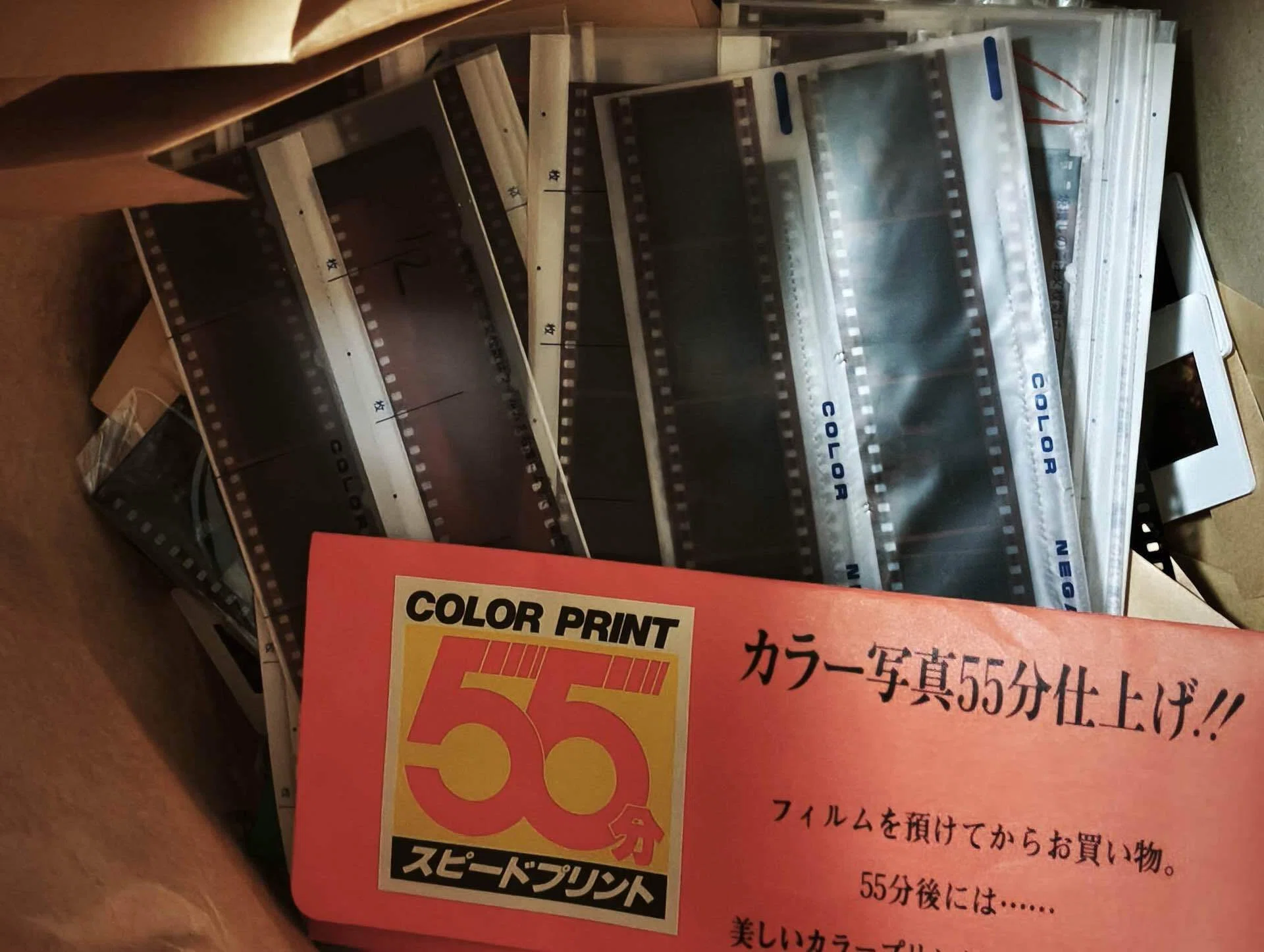 断捨離」=「終活」というお年頃なのだ｜NekoSafari