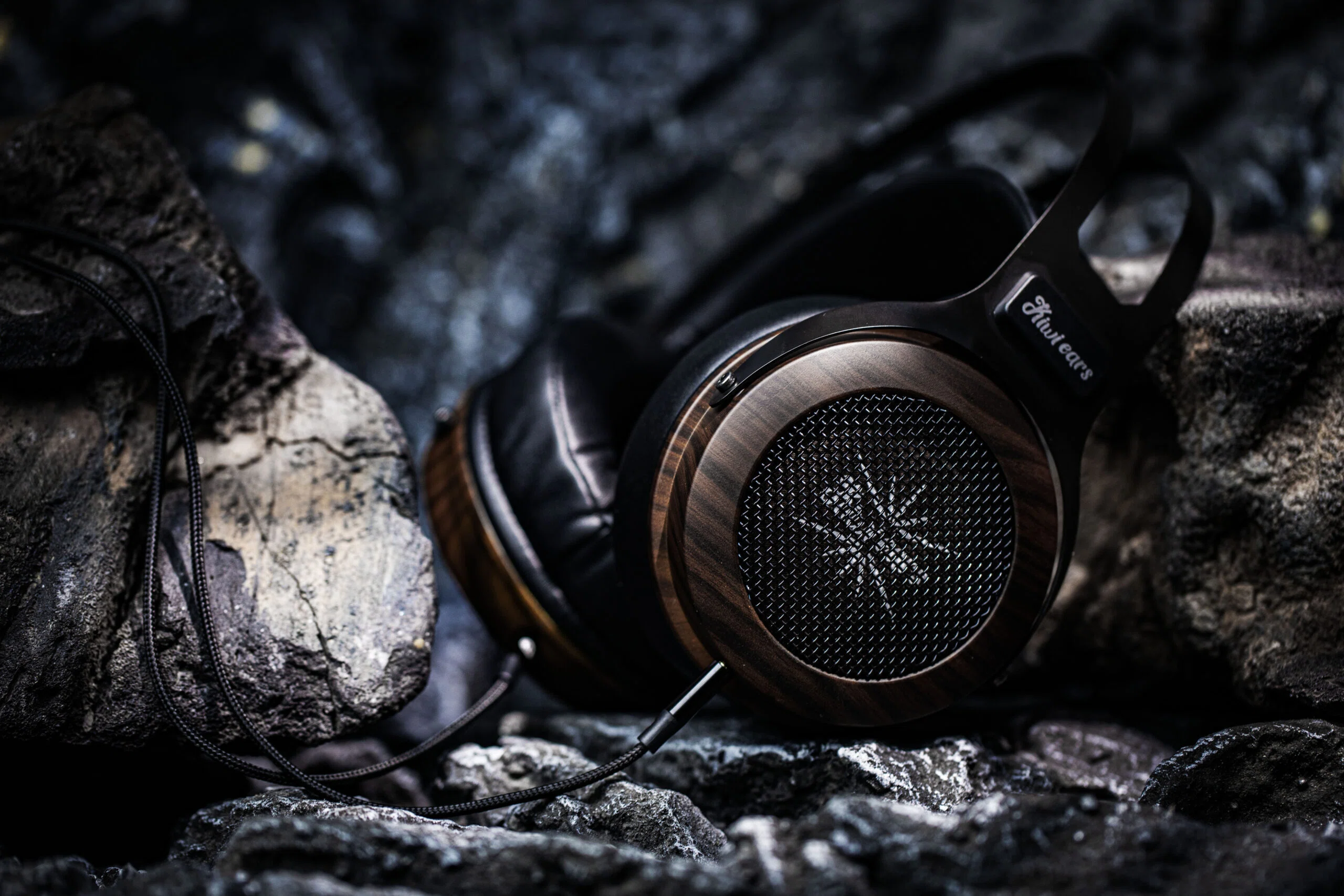 Kiwi Ears Altruva レビュー：10万円超のハイエンドを日常的に聴き