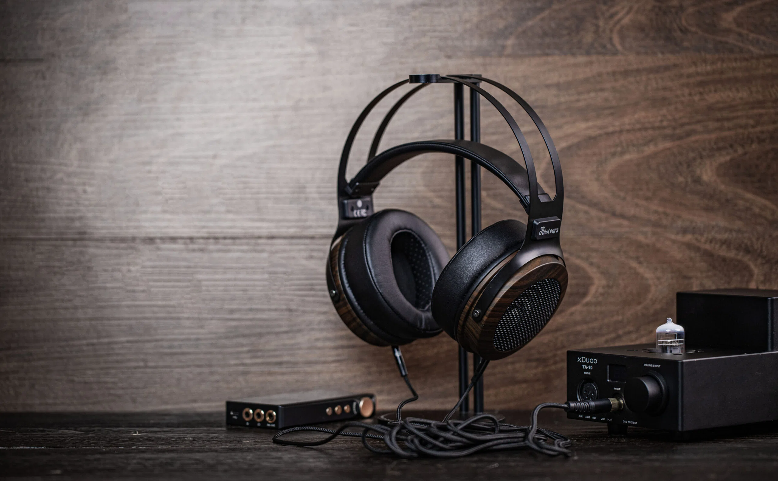Kiwi Ears Altruva レビュー：10万円超のハイエンドを日常的に聴き