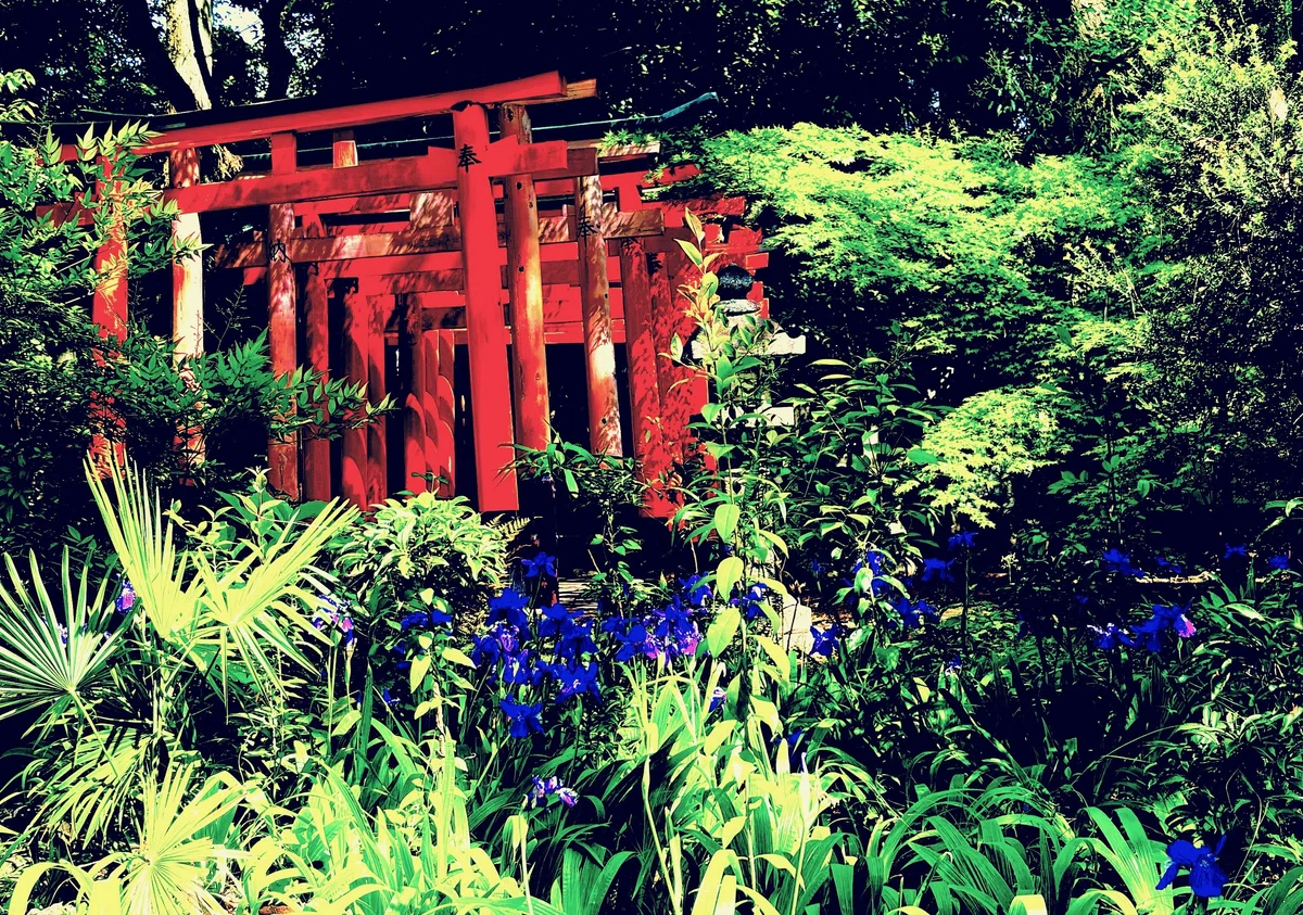 画像