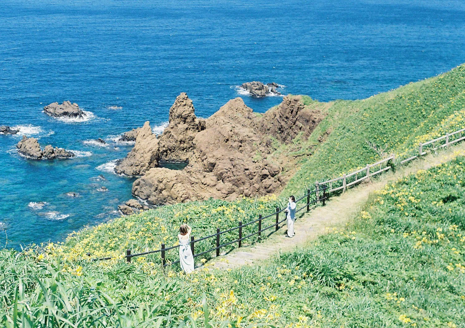 作例】CONTAX ARIA × FUJIFILUM 400①｜ken