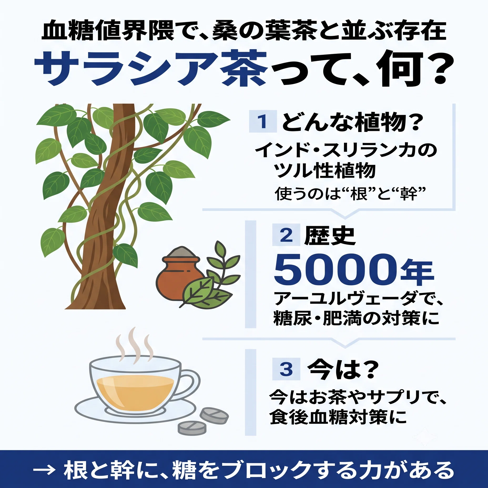 全9回の検証で解説、サラシア茶「糖質抑制力の実体」｜血糖値研究家