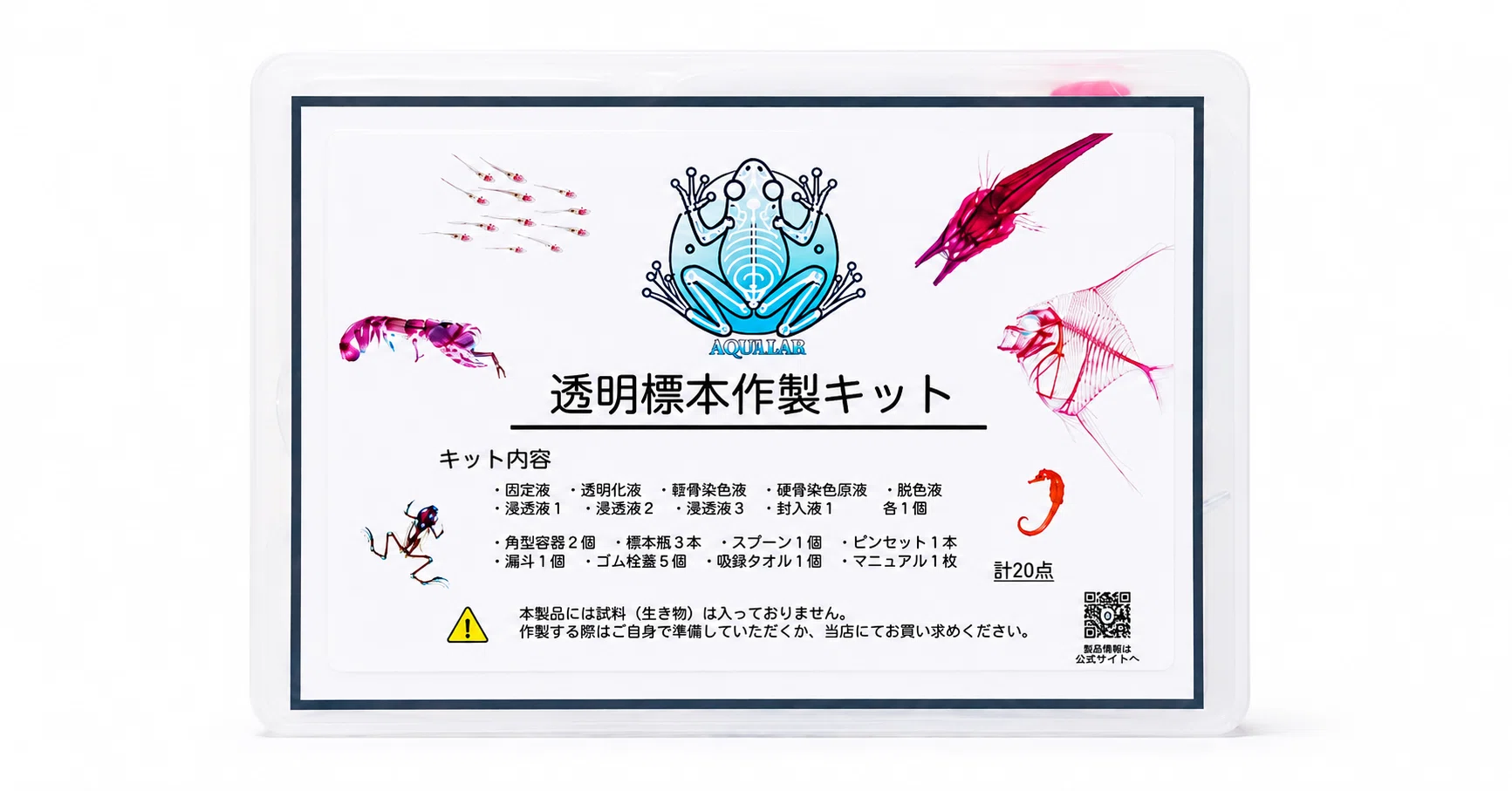 当店オリジナル【透明標本作製キット】（上級）作製マニュアル+補助
