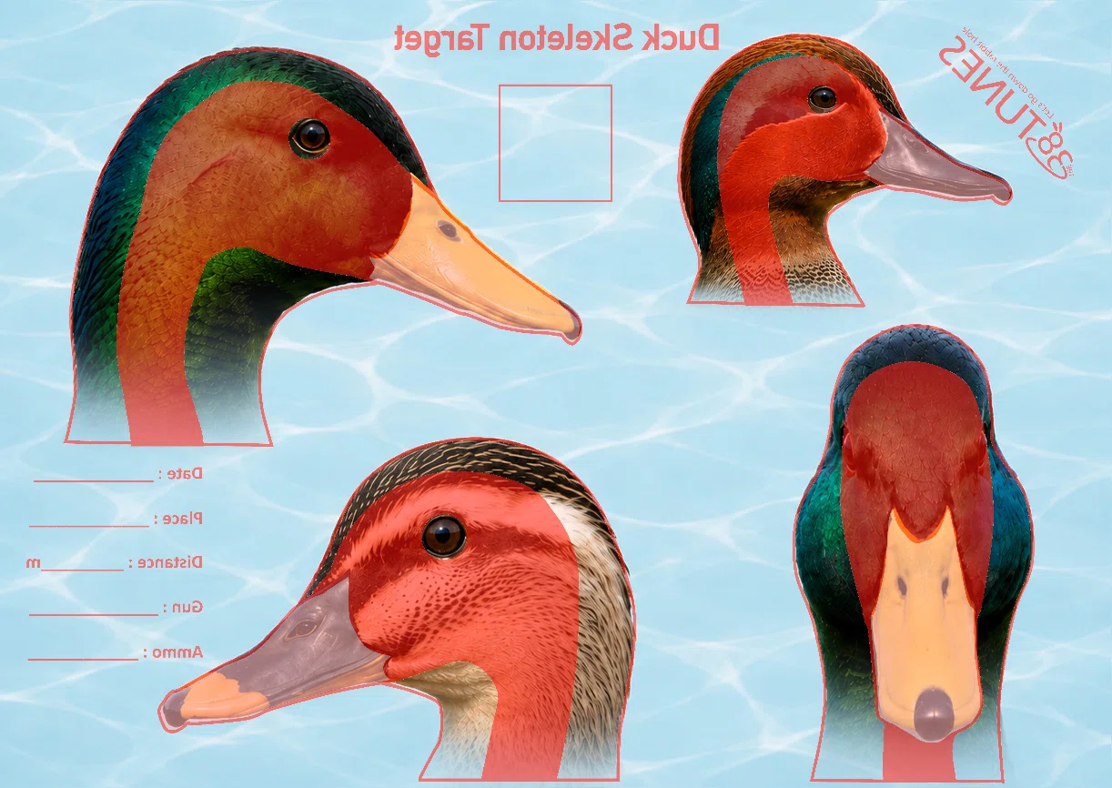 キジ的をリニューアルします。そして、新しくカモ的も作りました