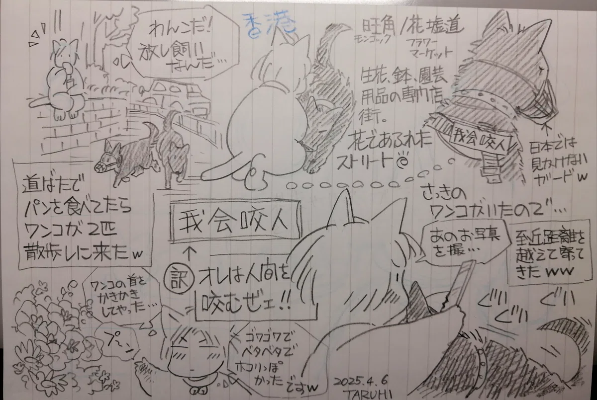 画像