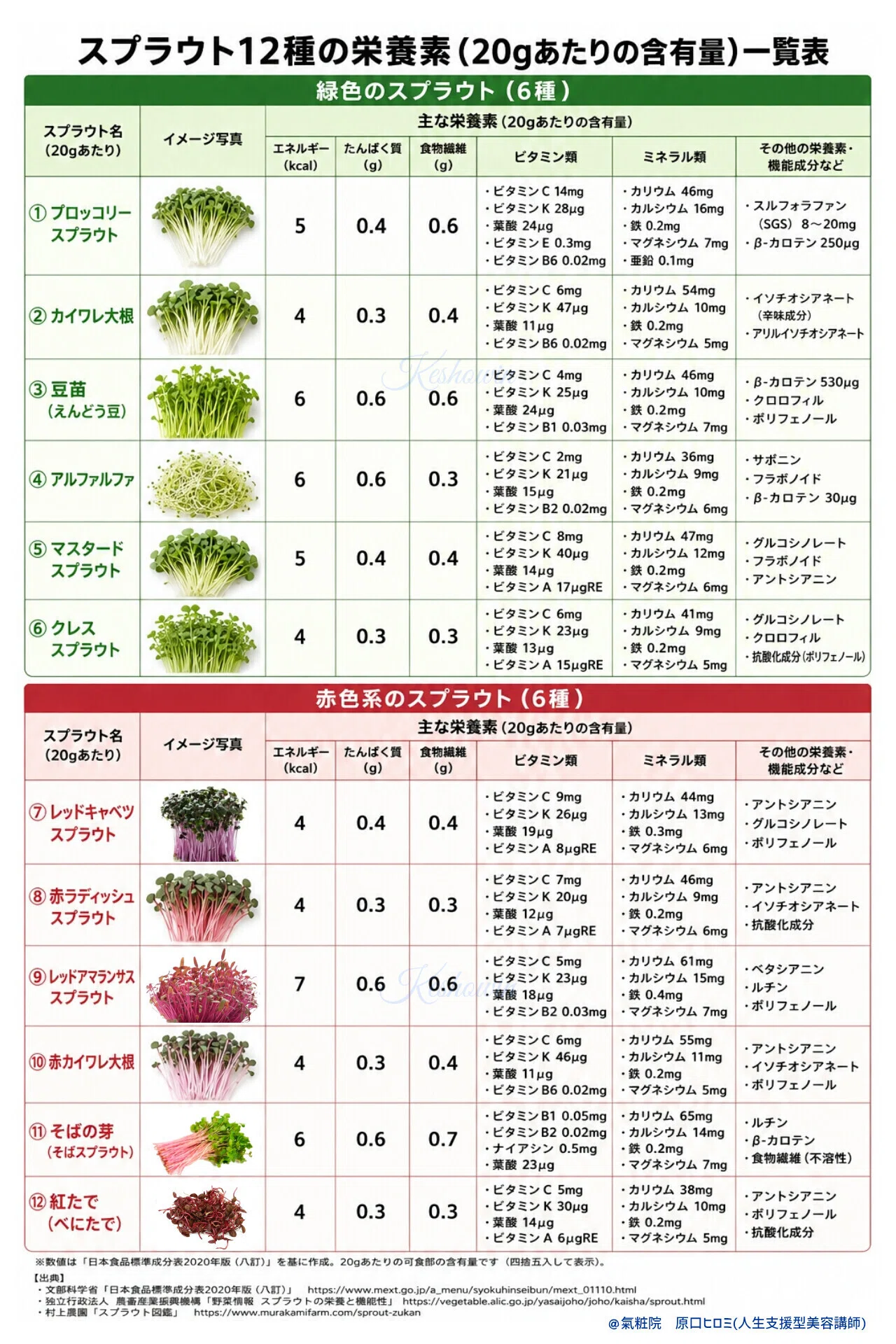 ブロッコリー スプラウト 栄養
