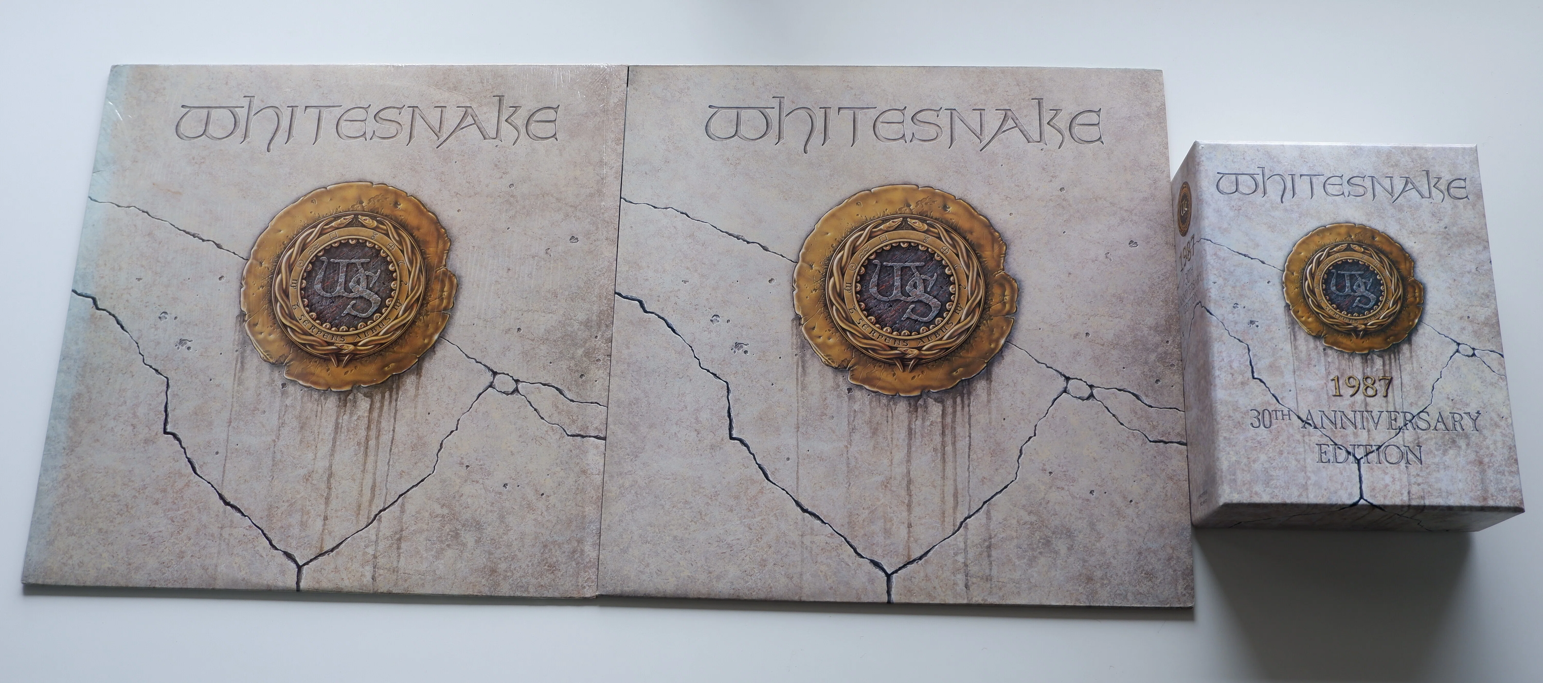 Whitesnake～Whitesnake｜Storemaster