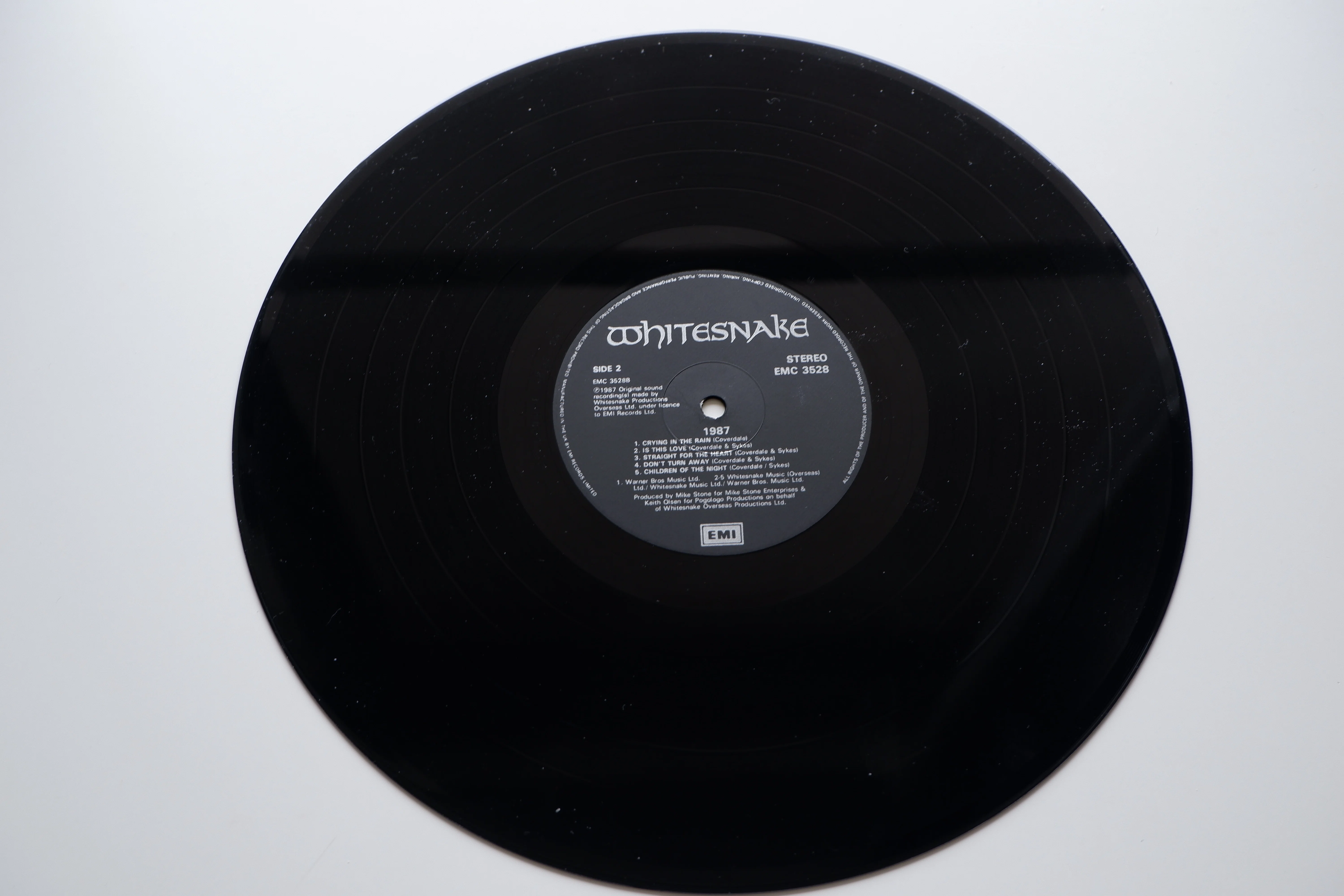 Whitesnake～Whitesnake｜Storemaster