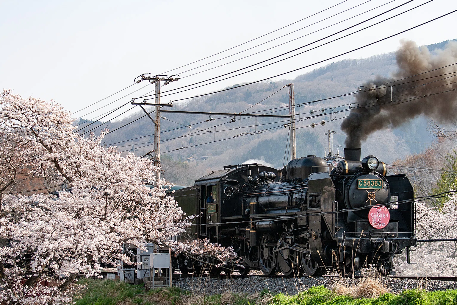 v358, 秩父鉄道：桜とパレオとリバイバルカラー （2008年）｜ひろやん