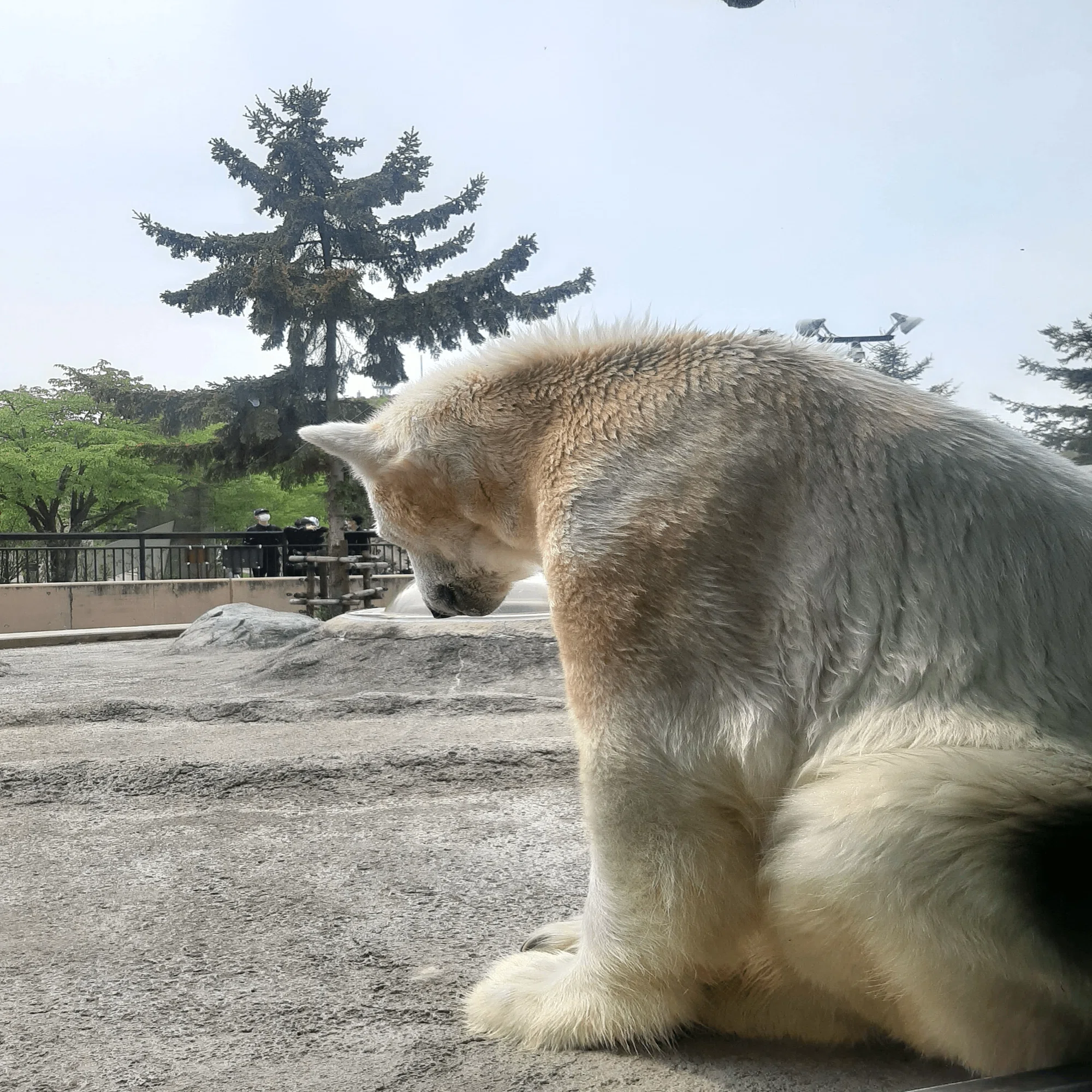 道内一人旅の記録】旭川～神居古潭｜ムロタニハヤト