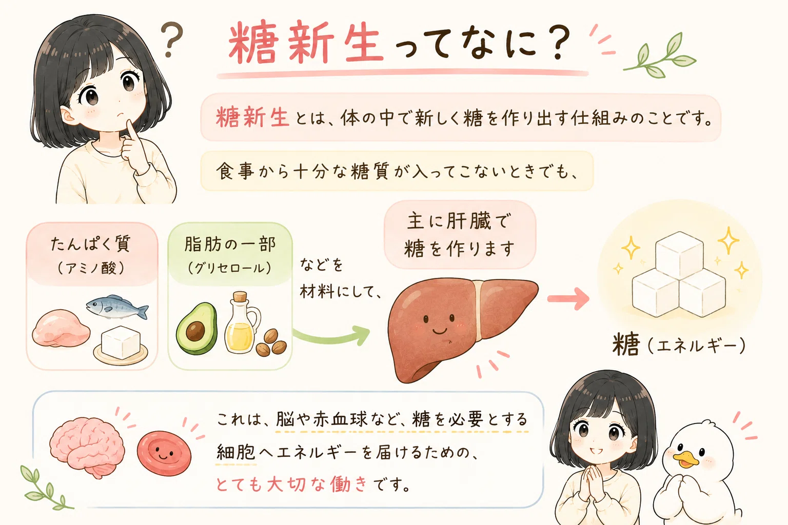 糖 新生 と は